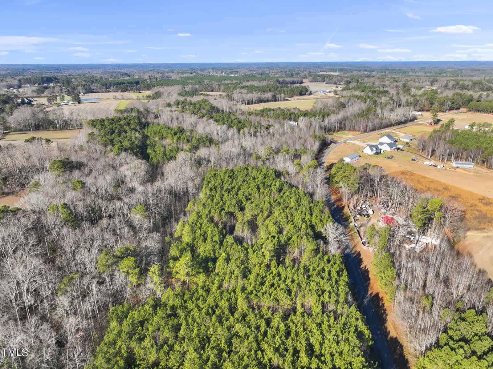 Aerial view of a rural landscape featuring a forested area with both green pine trees and leafless deciduous trees, surrounded by open fields, scattered houses, and clear blue sky in the background.