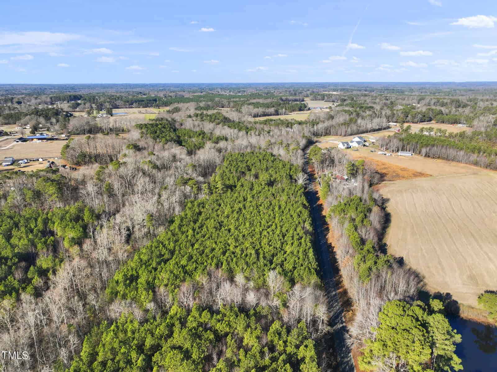 Aerial view of a rural landscape with dense green trees in the center, surrounded by open fields, scattered homes, and a clear blue sky in the background.