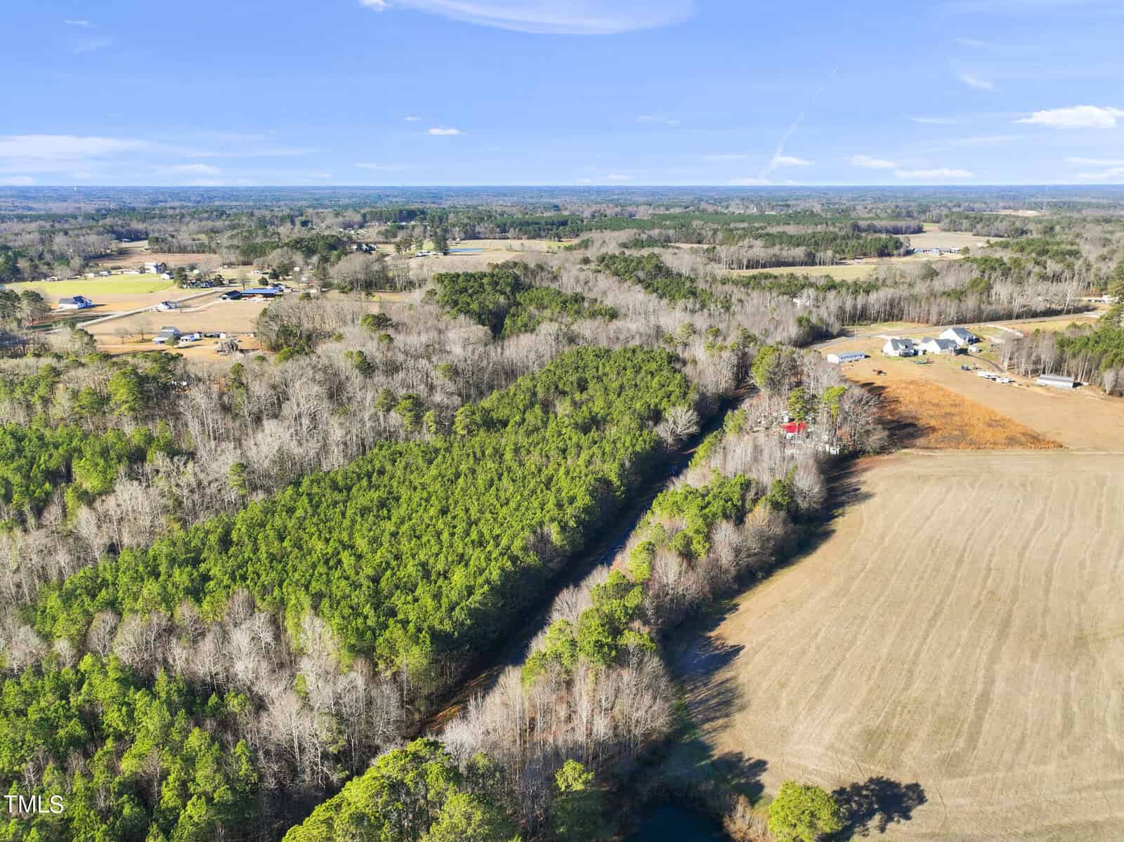 Aerial view of a rural landscape with dense green forest, open fields, and scattered houses under a clear blue sky. Farmland and wooded areas stretch into the distance.