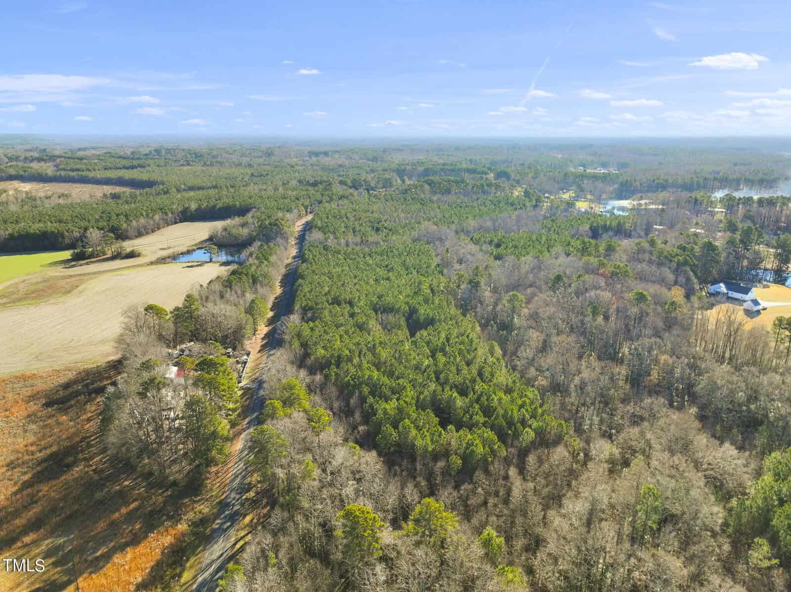 Aerial view of a rural landscape with dense green forests, open fields, and scattered houses under a bright blue sky with light clouds. A winding road runs through the scene.