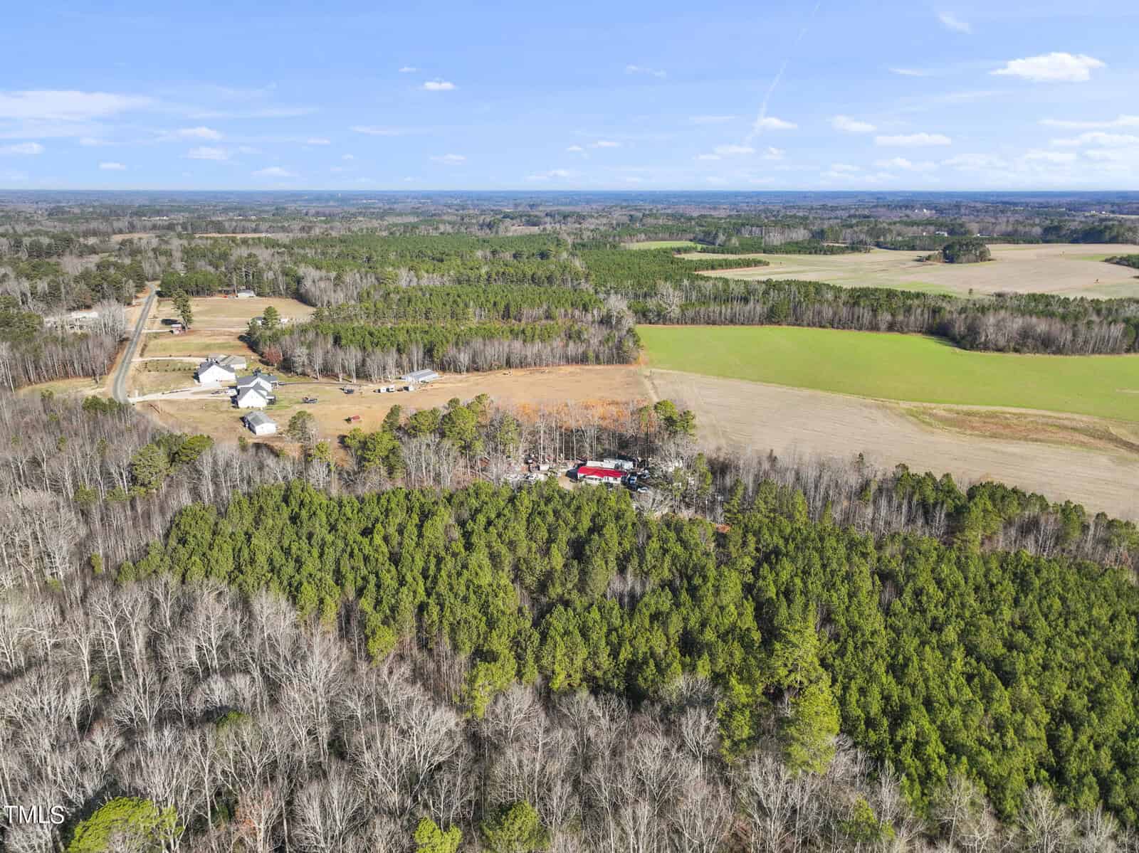 Aerial view of a rural landscape with dense green forest in the foreground, open fields, scattered homes, and farm buildings in the background under a blue sky with clouds.