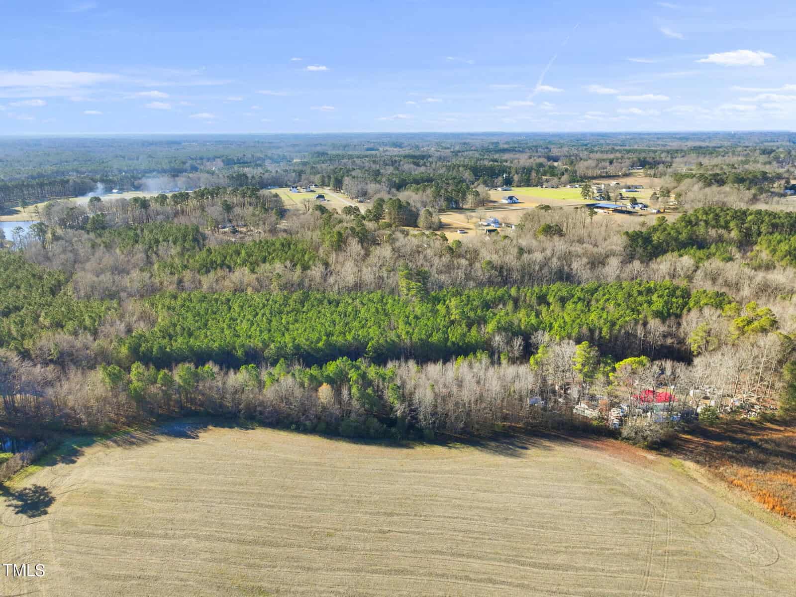 Aerial view of a rural landscape with open fields, dense green forest, scattered houses, and a pond under a blue sky with a few clouds.