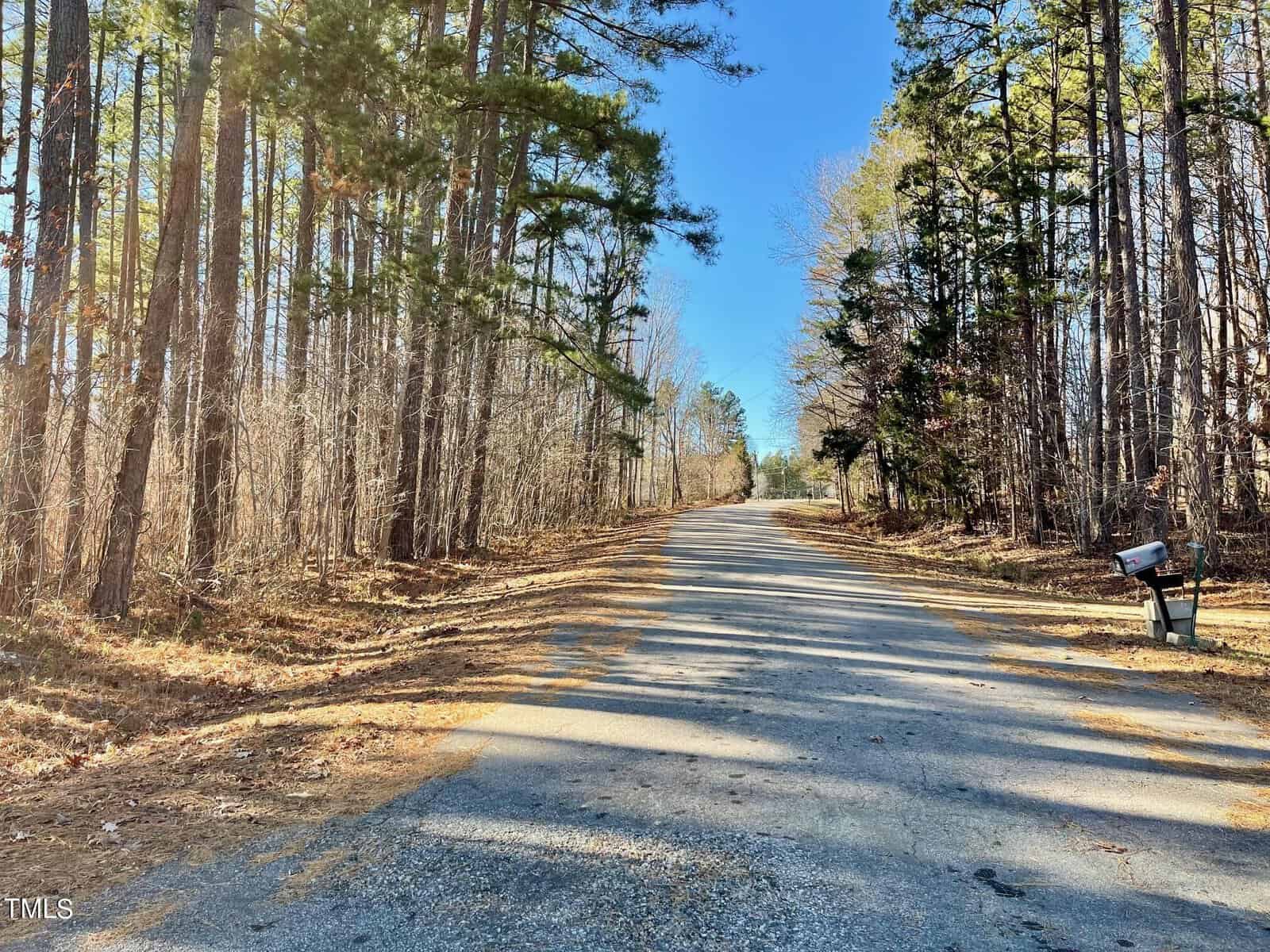 A rural road flanked by tall pine trees under a clear blue sky, with a lone mailbox on the right side.