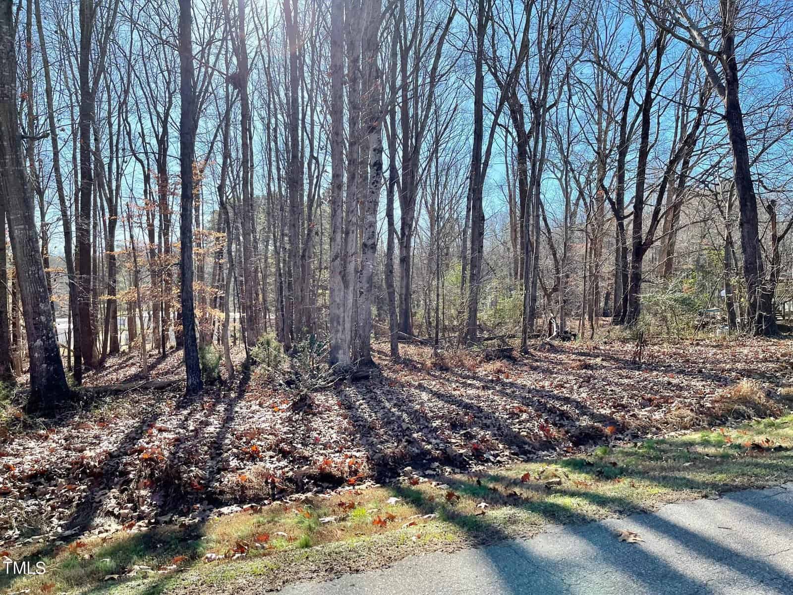 Bare deciduous trees cast long shadows on a carpet of fallen leaves, with a glimpse of a sunlit road at 00 Howell Road in Henderson NC in the foreground.