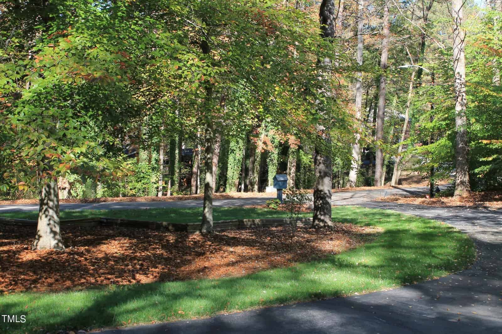 A paved road curves through a wooded area strewn with fallen leaves and shadowed by tall trees. a blue trash bin is visible near the roadside.