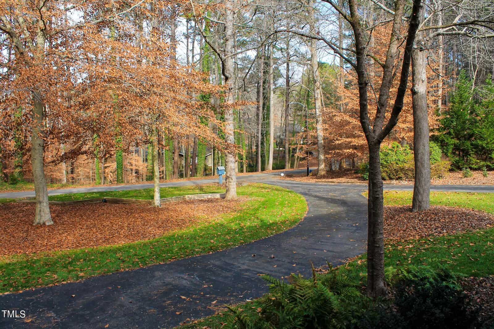 A winding asphalt pathway through a park with autumnal trees and fallen leaves.