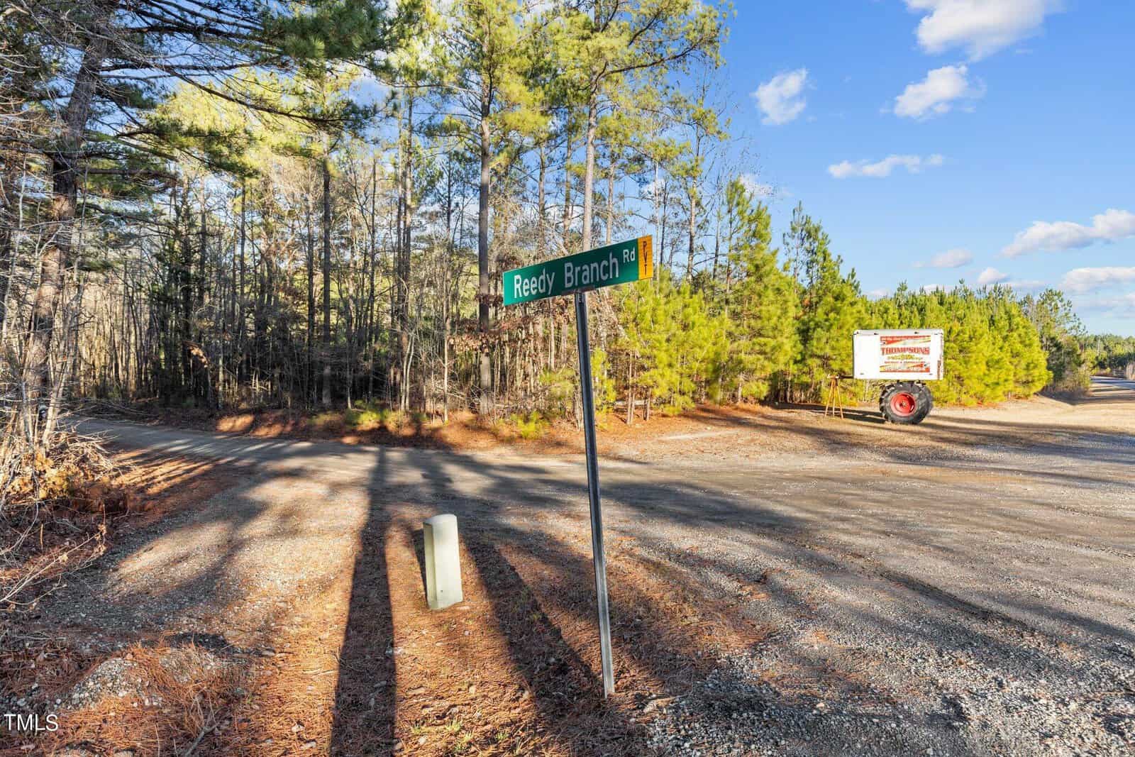 A rural road scene with a green street sign reading "Reedy Branch Rd." It is surrounded by pine trees under a clear blue sky. A trailer with a sign is parked on the dirt roadside, and long shadows are cast across the ground.