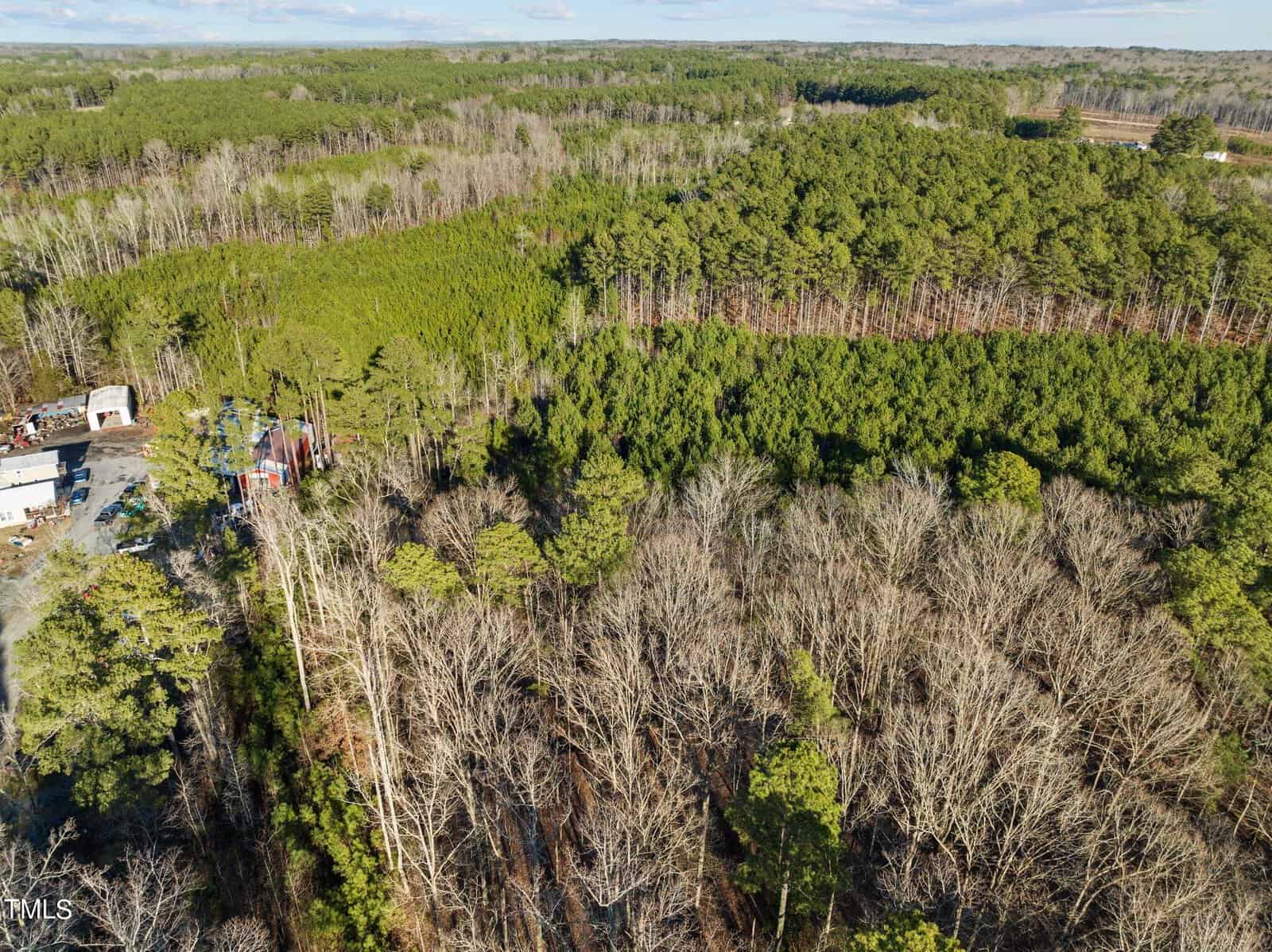 Aerial view of a dense, mixed forest near 0 Horseshoe Road in Creedmoor, featuring a blend of evergreen and deciduous trees. Some buildings are visible on the left edge, surrounded by the lush greenery. The expansive landscape stretches toward the horizon under a clear sky.