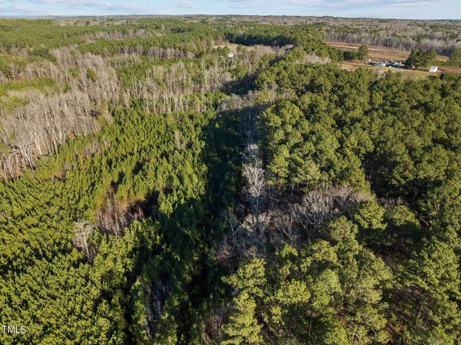 Aerial view of a dense forest landscape with a mix of evergreen and deciduous trees. A small dirt road winds through the forest, leading to a clearing with a few structures. The horizon is slightly hazy under a clear sky.