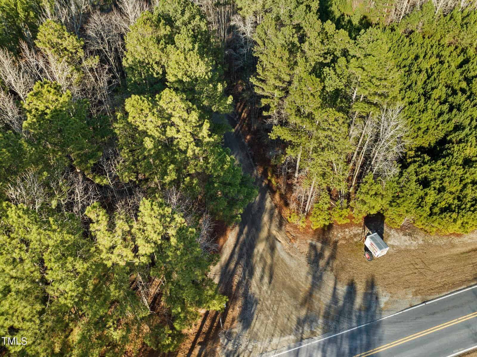 Aerial view of a wooded area with dense green trees on the left. A small dirt road leads off a paved road, with a parked vehicle at the entrance of the dirt road, casting shadows. The sun is shining brightly, creating defined tree shadows on the ground.