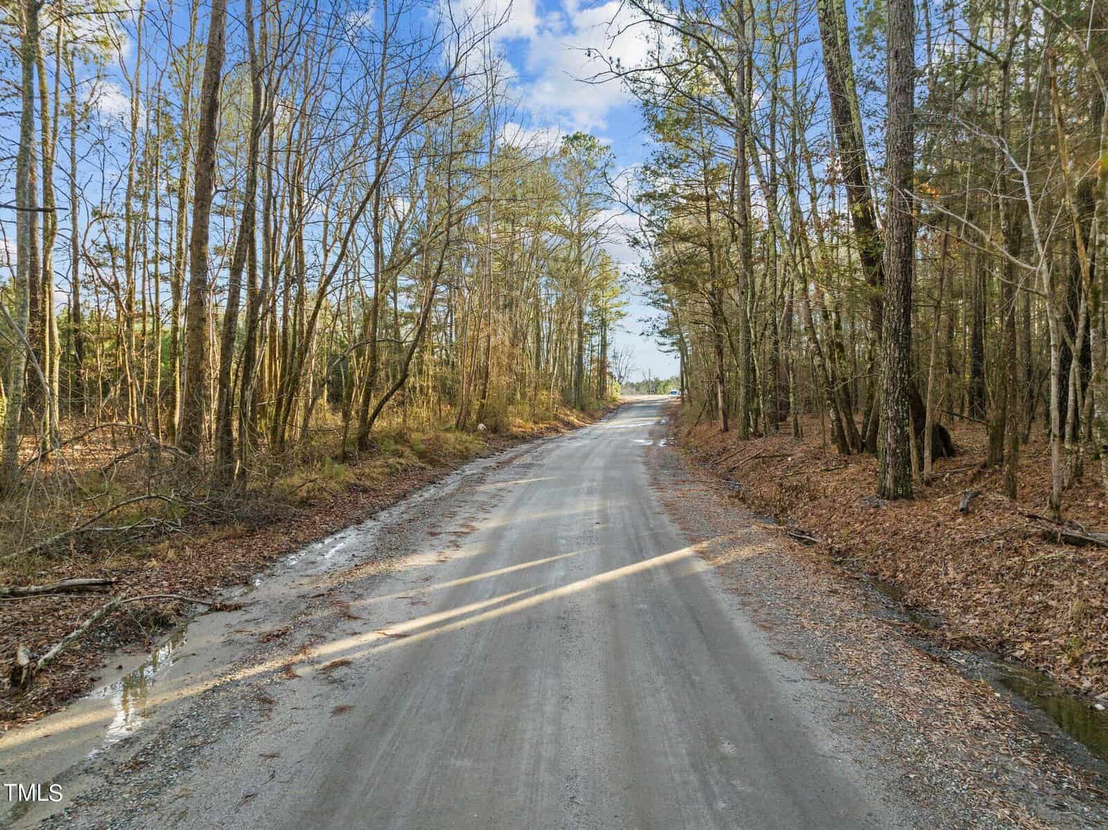 A rural dirt road flanked by leafless trees under a partly cloudy sky. The scene suggests early spring or late autumn, with sunlight casting shadows across the pathway. Sparse vegetation lines the sides of the road.