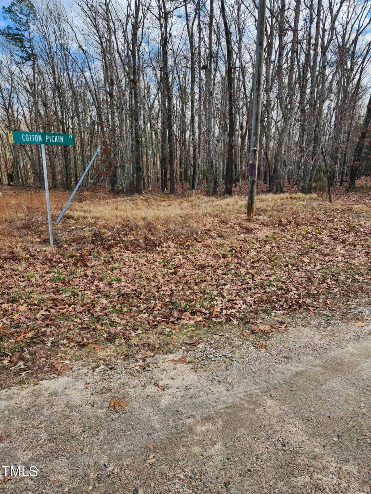 A roadside view of a wooded area with bare trees and a ground covered in fallen leaves. a green street sign on the left reads "cotton pickin" under a cloudy sky.