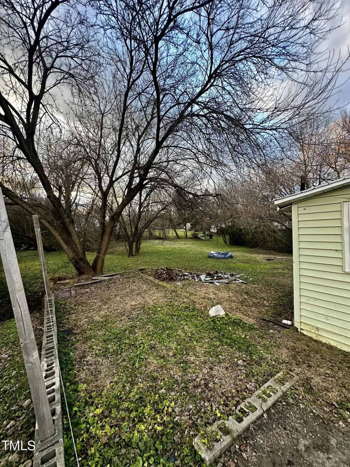 A backyard showing bare trees, overgrown grass, a small shed, and scattered debris under an overcast sky.