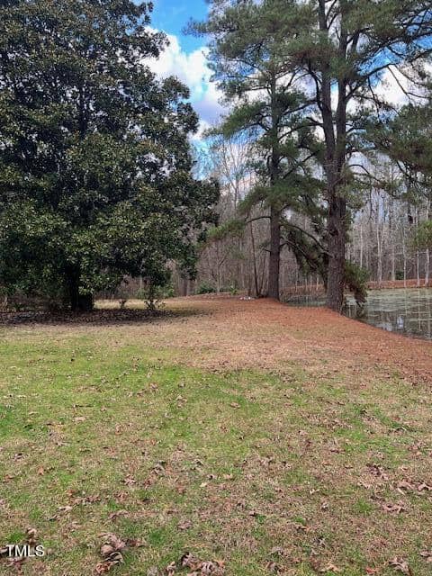 A grassy clearing leading to a wooded area with pine trees and a cloudy sky overhead.