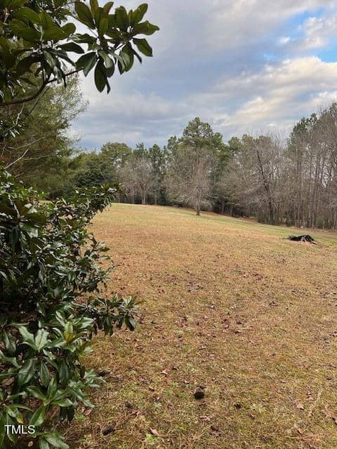 A grassy field edged by trees and shrubs under a cloudy sky.