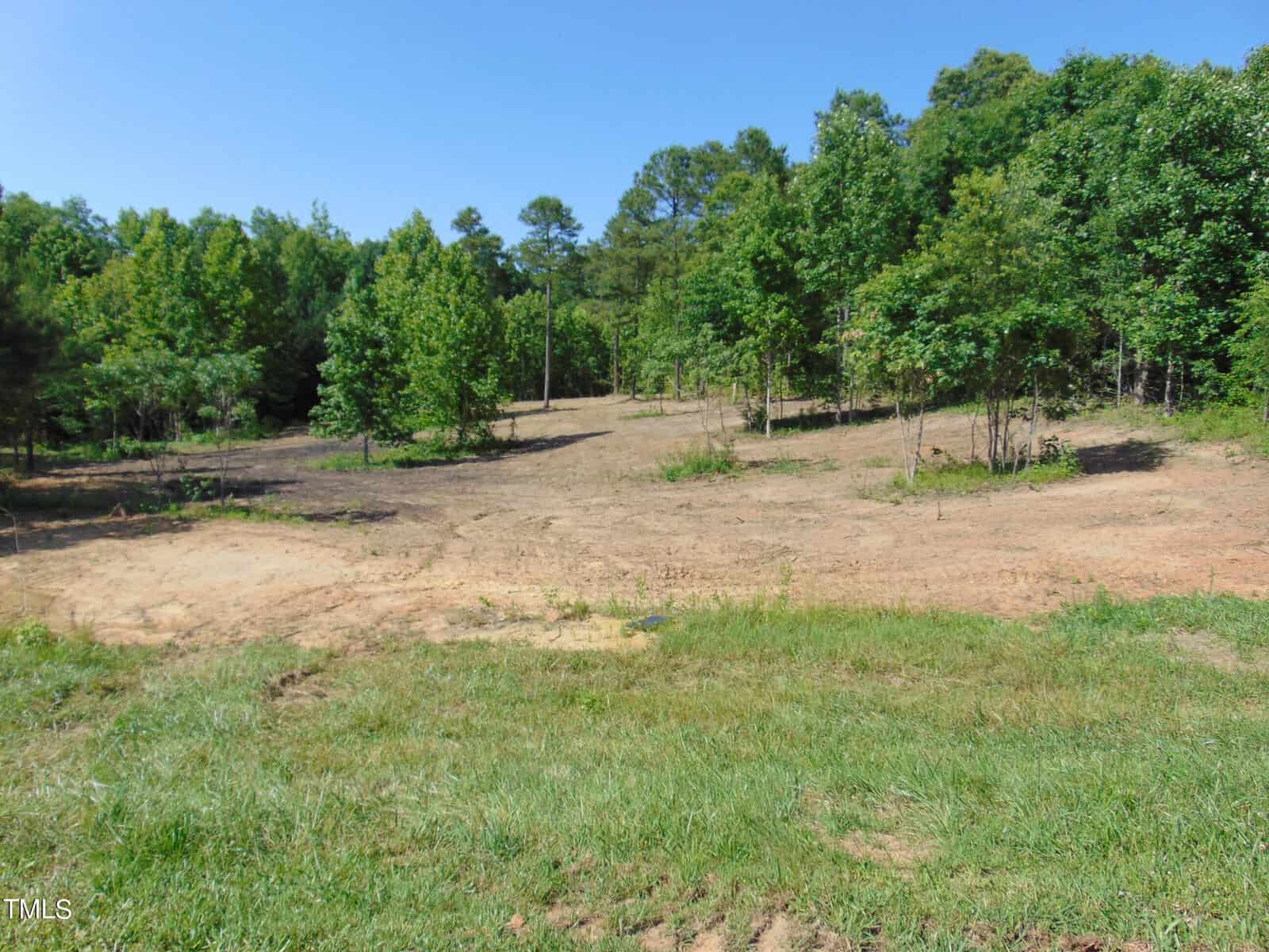 A cleared piece of land with sparse grass, surrounded by dense, green trees under a clear blue sky. The area appears to be a small clearing within a forested region.