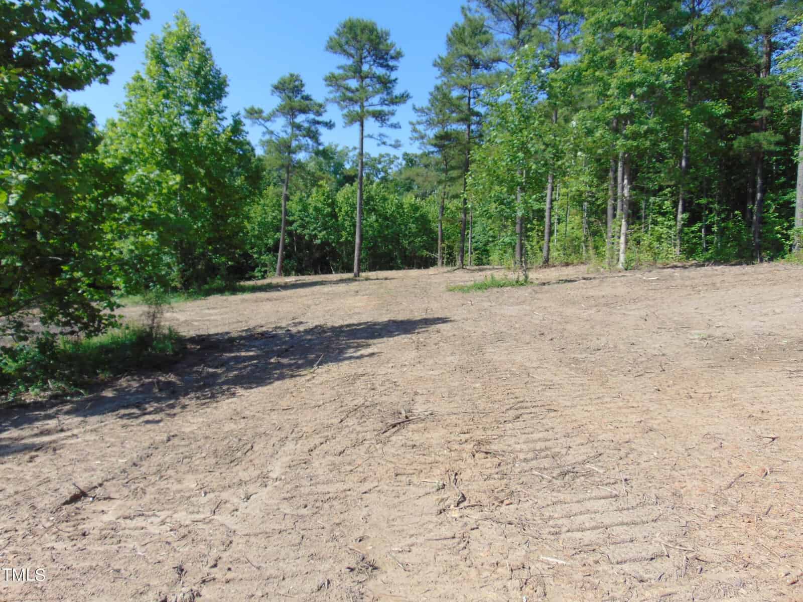 A clearing in a forested area, with the ground appearing recently disturbed and covered in tire tracks. Tall trees with green leaves surround the open space, and the sky is clear and blue.