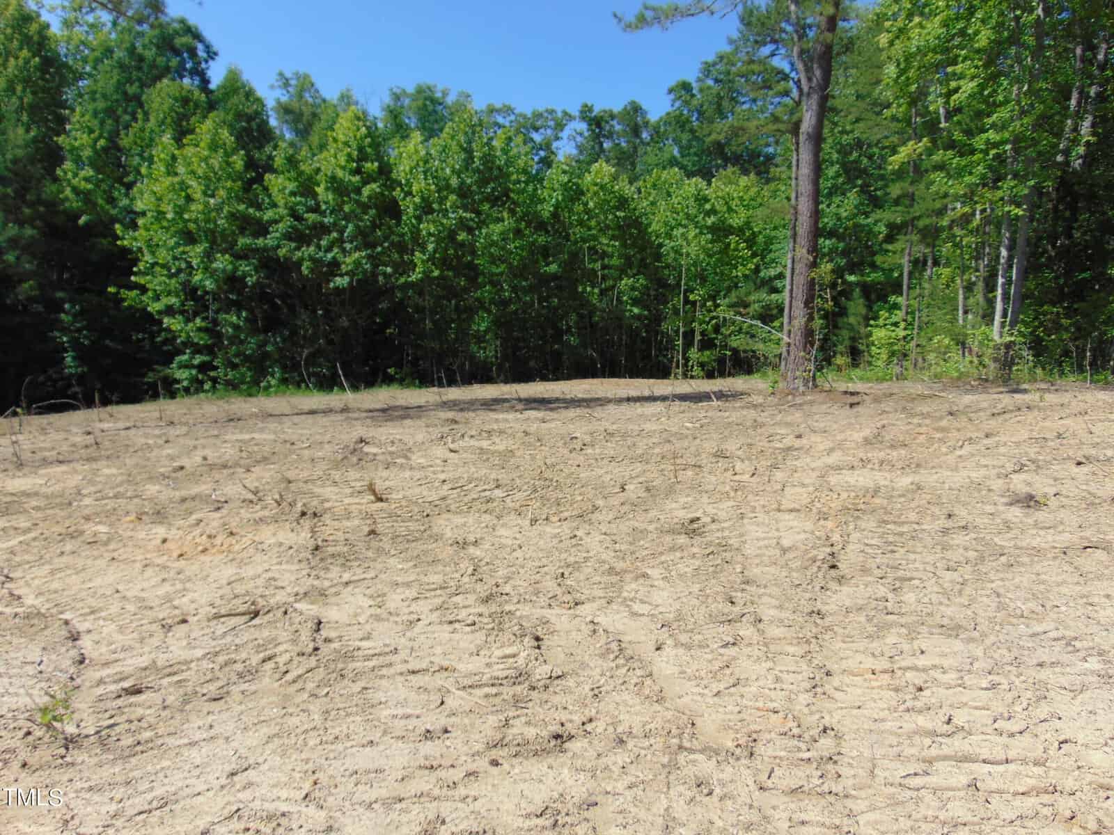 Cleared, flat, sandy area in a forested region with tire tracks on the ground. Surrounding the clearing are dense, green trees under a clear, blue sky.