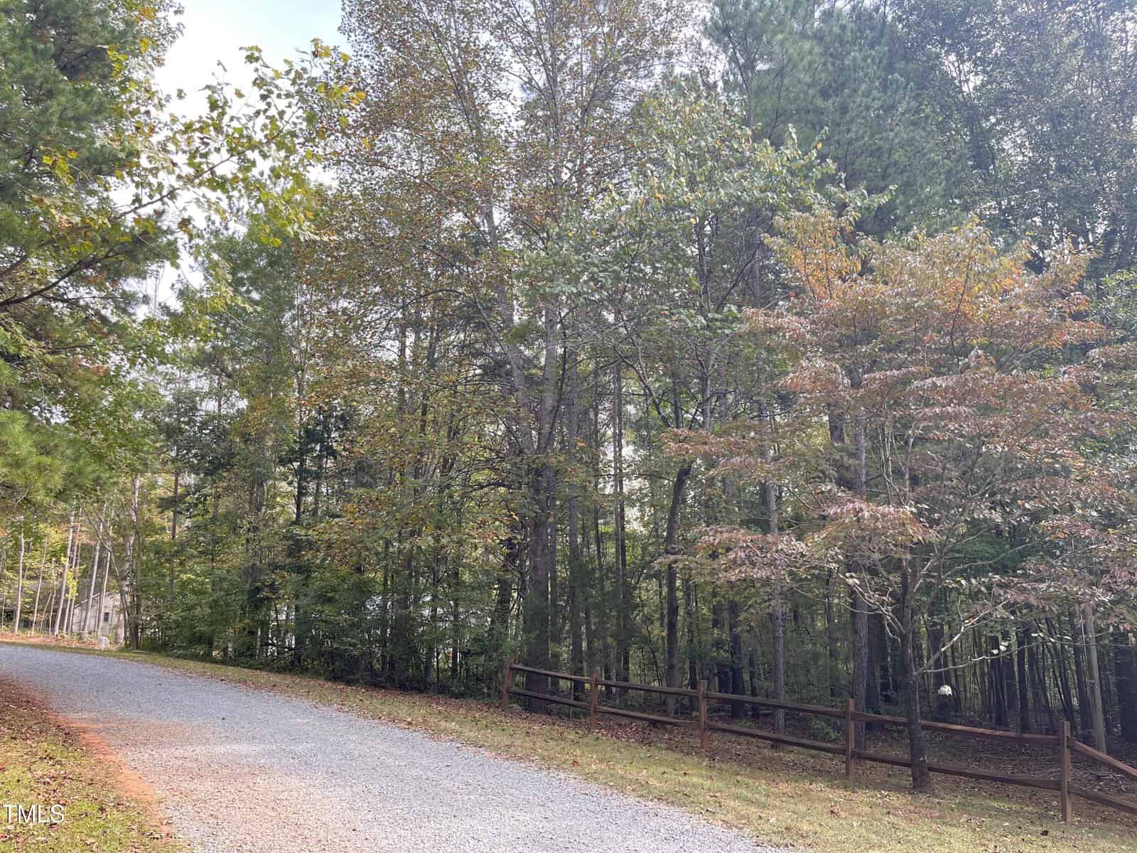 A gravel path curves to the left, bordered by a wooden fence and dense trees with some autumn foliage. The sky is partially visible through the tree canopy.