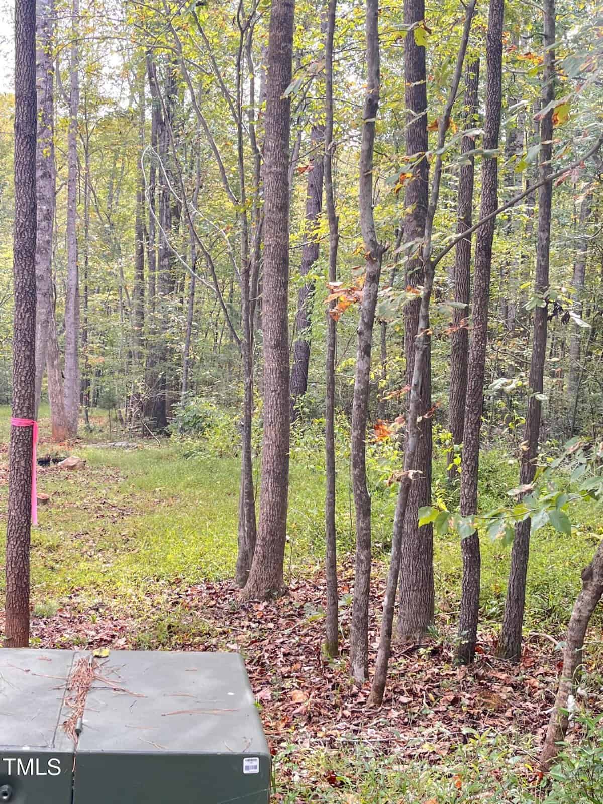 A forest scene featuring tall trees with green foliage under a cloudy sky. A tree-covered path leads into the background. In the foreground, a green utility box partially covered by fallen leaves is visible.