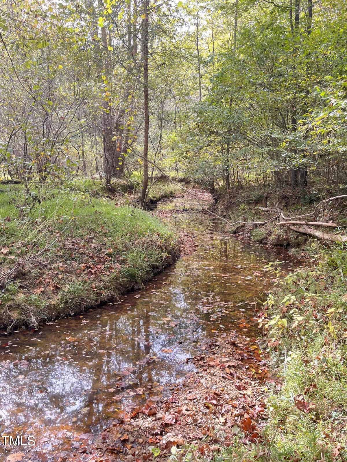 A serene forest scene featuring a narrow, meandering creek. The water reflects the surrounding trees and the lush greenery, with fallen leaves scattered along the banks. Sunlight filters through the canopy, creating a peaceful and natural atmosphere.