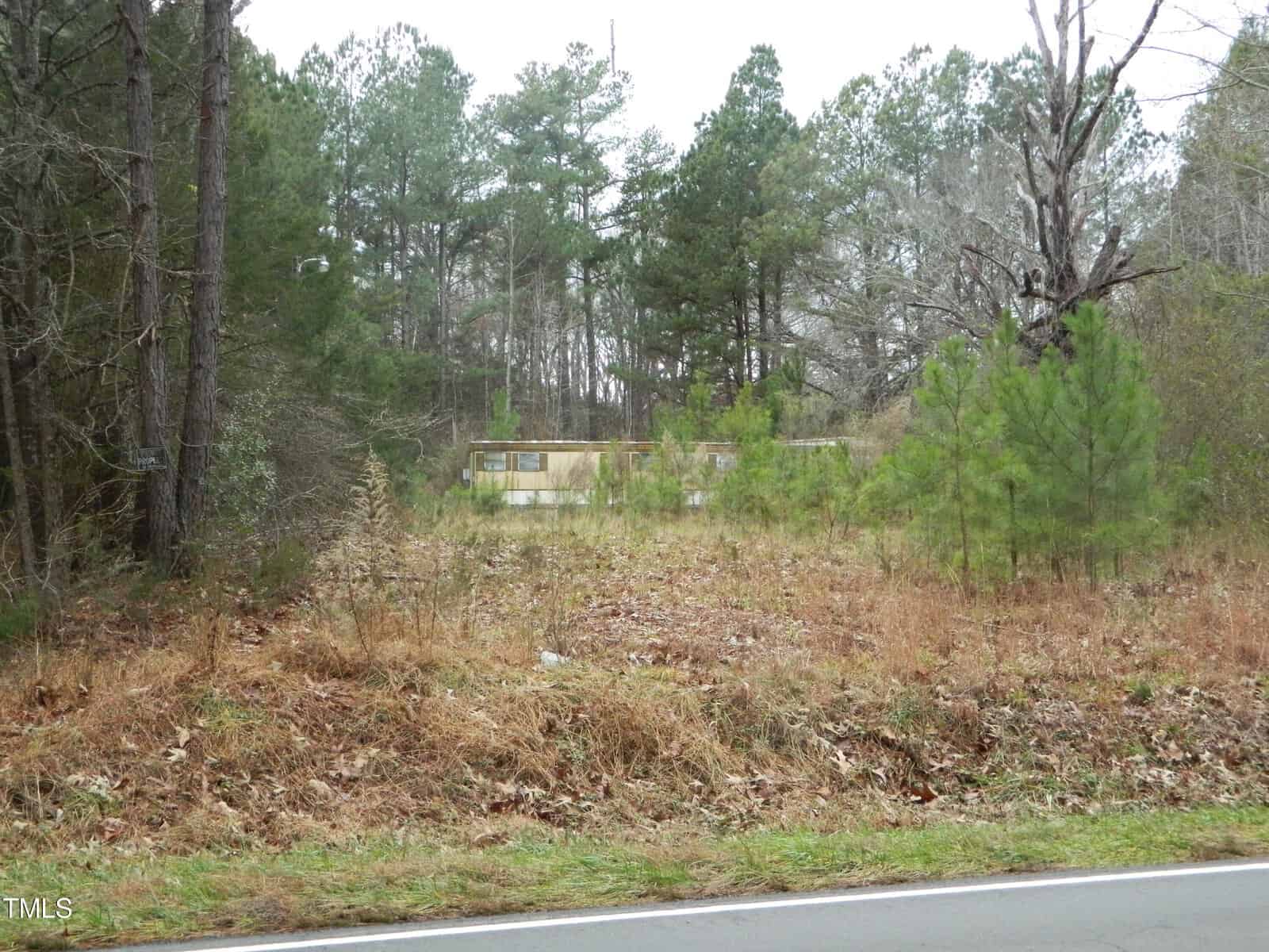 A mobile home is partially visible through dense trees and brush. The surrounding area is overgrown with tall grasses and leaves, and a narrow road runs along the foreground. Pine trees are scattered in the background under a cloudy sky.