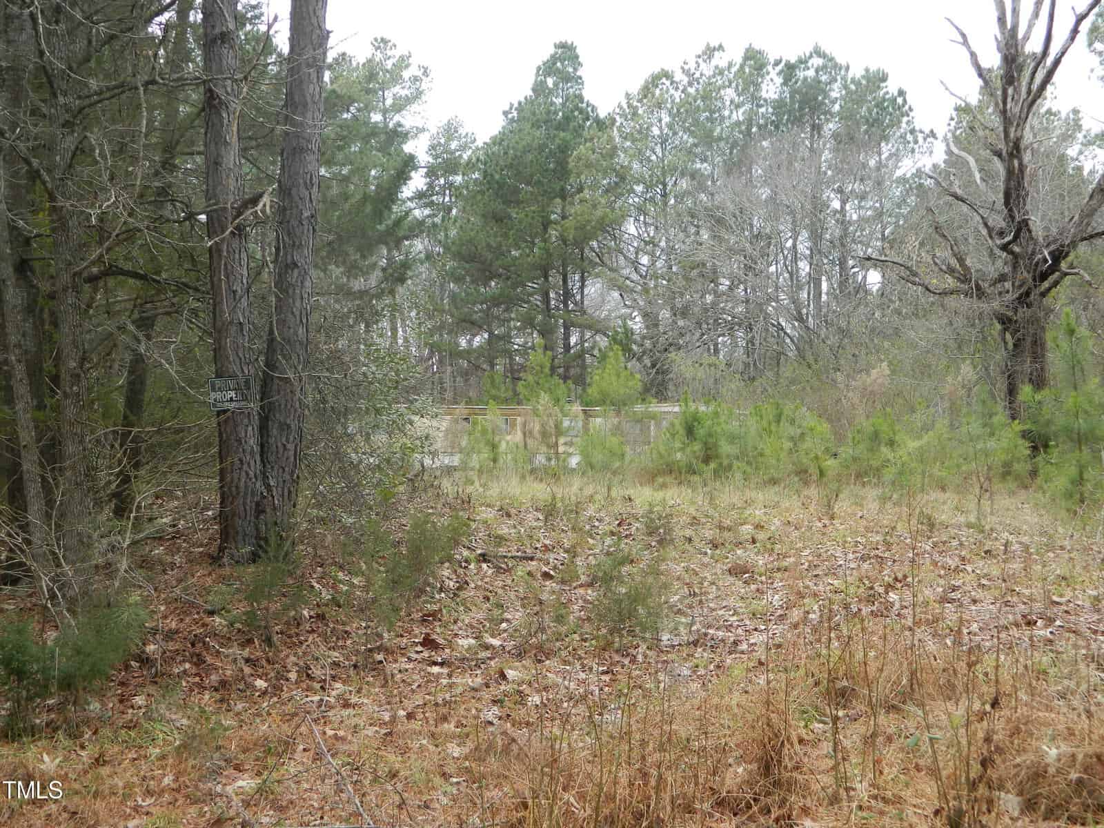 A forest clearing with dry grass and scattered small plants. Tall trees surround the area, with a wooden fence partially visible in the background. The scene is calm and overcast, suggesting late autumn or early winter.