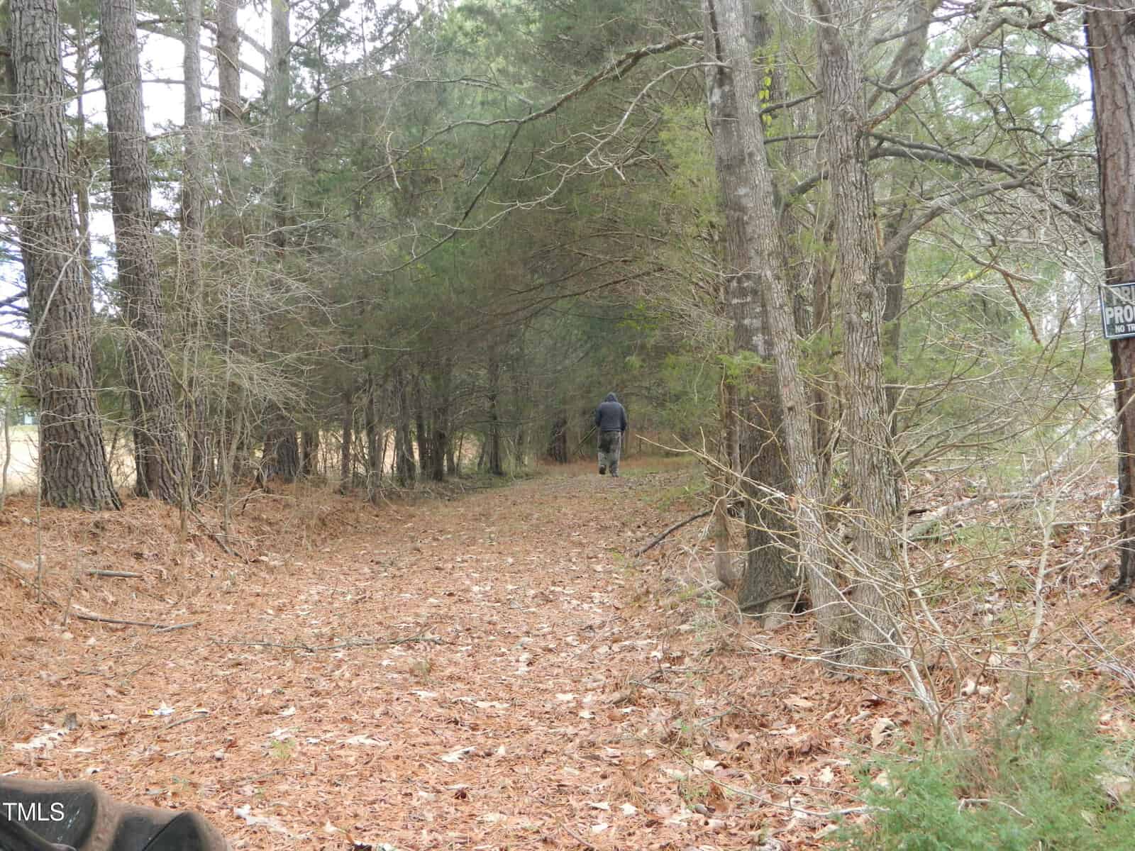 A person walking away on a leaf-strewn path through a wooded area. Trees line the pathway, creating a natural canopy. The scene is calm and earthy, with a mix of evergreen and leafless branches.
