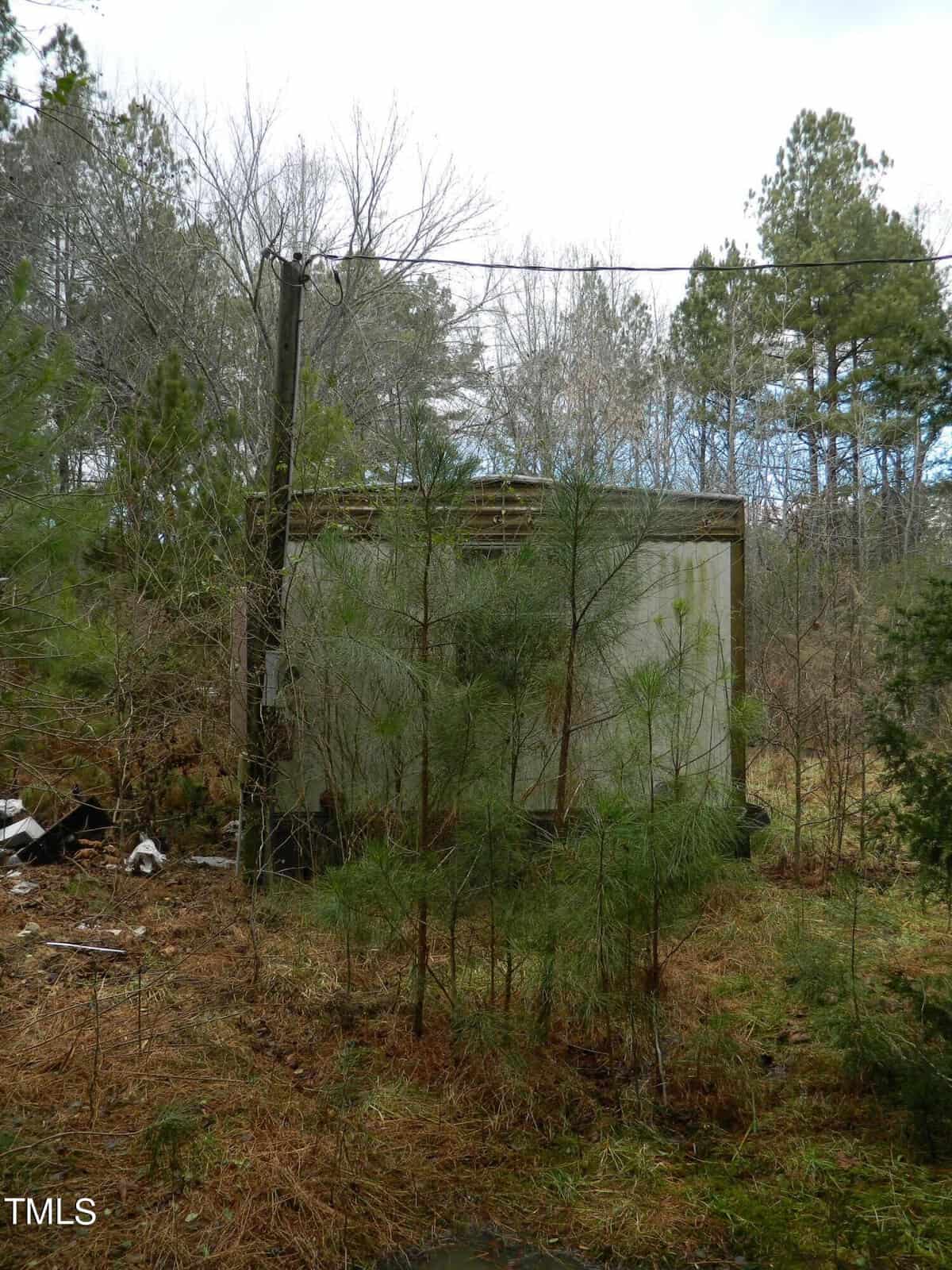 An overgrown, small concrete building surrounded by trees and tall grass. Weathered power lines connect to a pole nearby. Overcast sky in the background, creating a somber atmosphere.