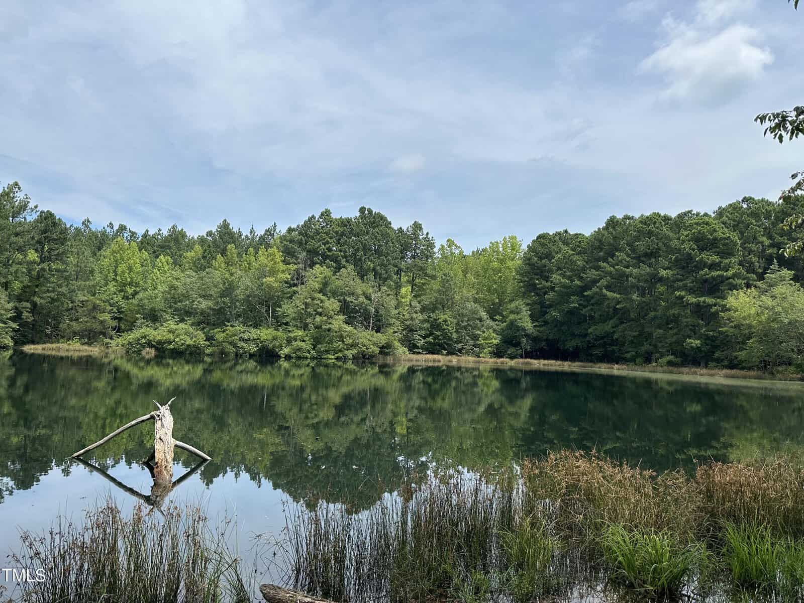 Nestled near 2111 Satterwhite Road in Oxford, a serene lake is surrounded by dense green trees with a fallen log partially submerged in the water. The cloudy sky reflects on the lake's surface, blending with the verdant hues to create a tranquil and natural landscape.