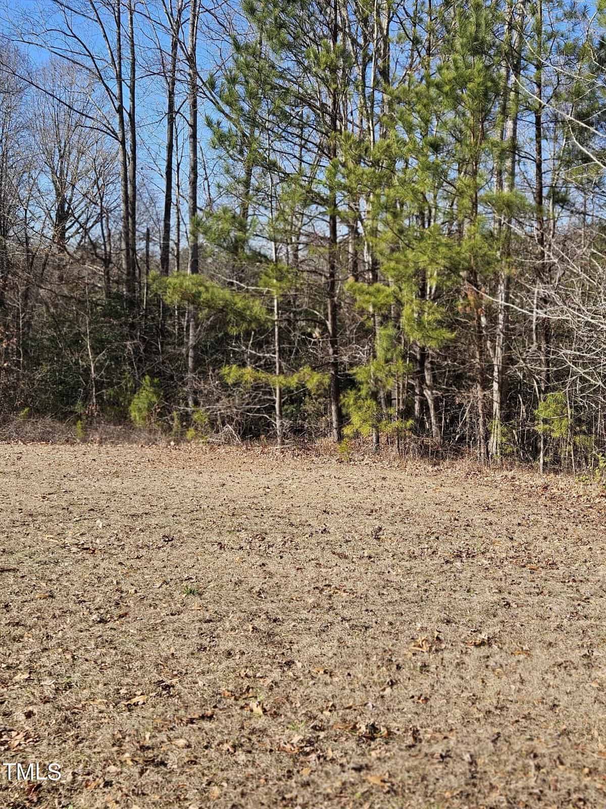A natural landscape in Henderson, NC, features a grassy clearing in the foreground and a dense forest of mixed pine and deciduous trees in the background under a clear blue sky.