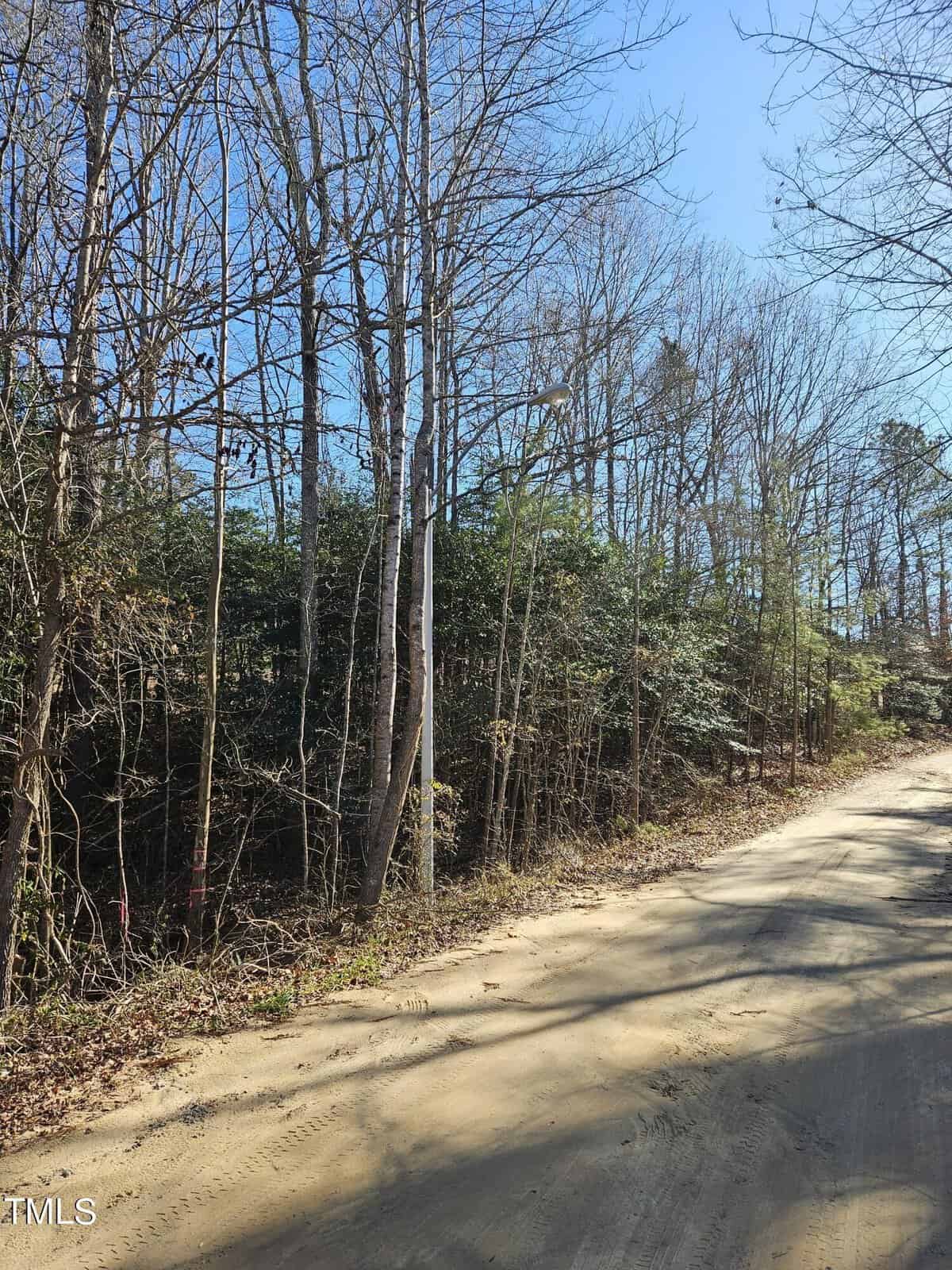 A dirt road curves to the right, bordered by tall, leafless trees and dense shrubbery under a clear blue sky.
