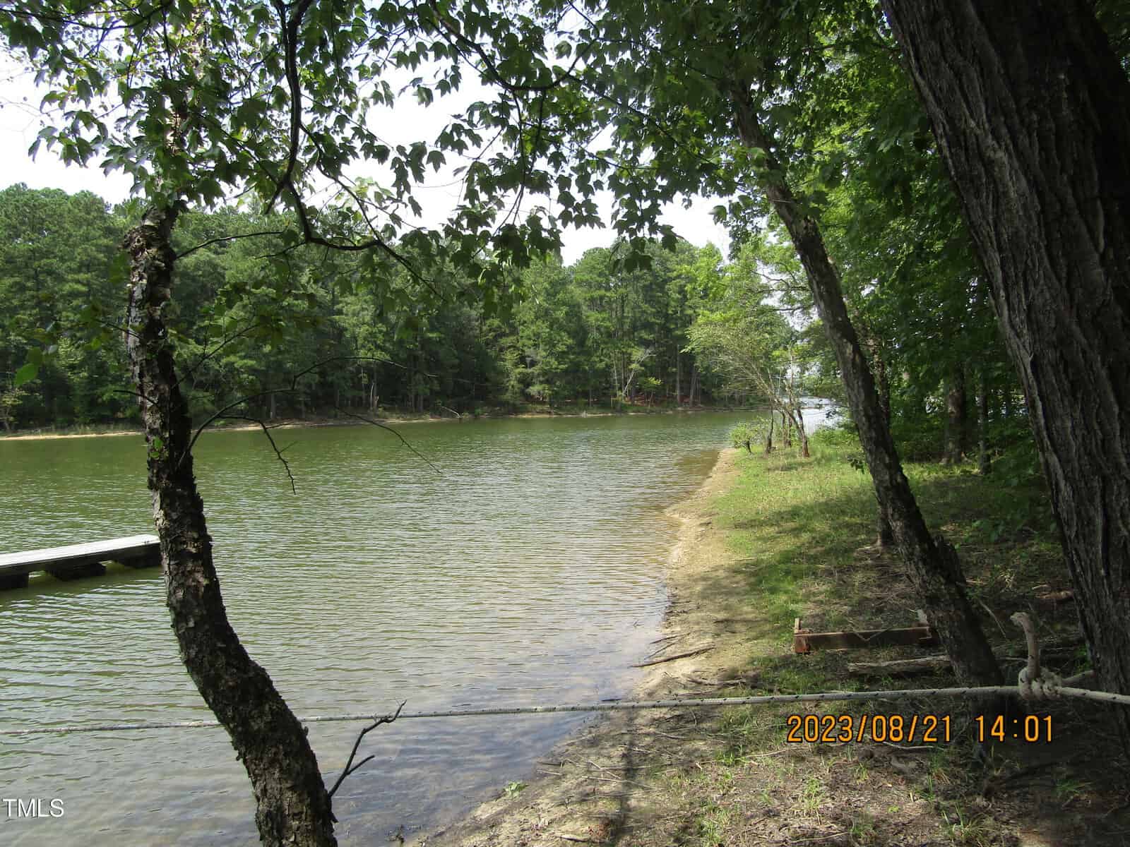 A tranquil lake scene featuring a narrow dirt path running along the shoreline, flanked by leafy trees, with a view of the forest-covered opposite bank under a clear sky.