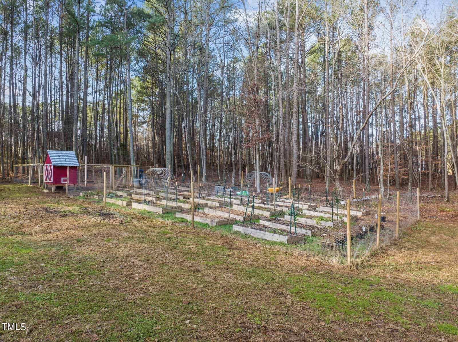 A fenced garden with neatly arranged raised beds is surrounded by a forest. A small pink and white shed sits on the left side of the garden.