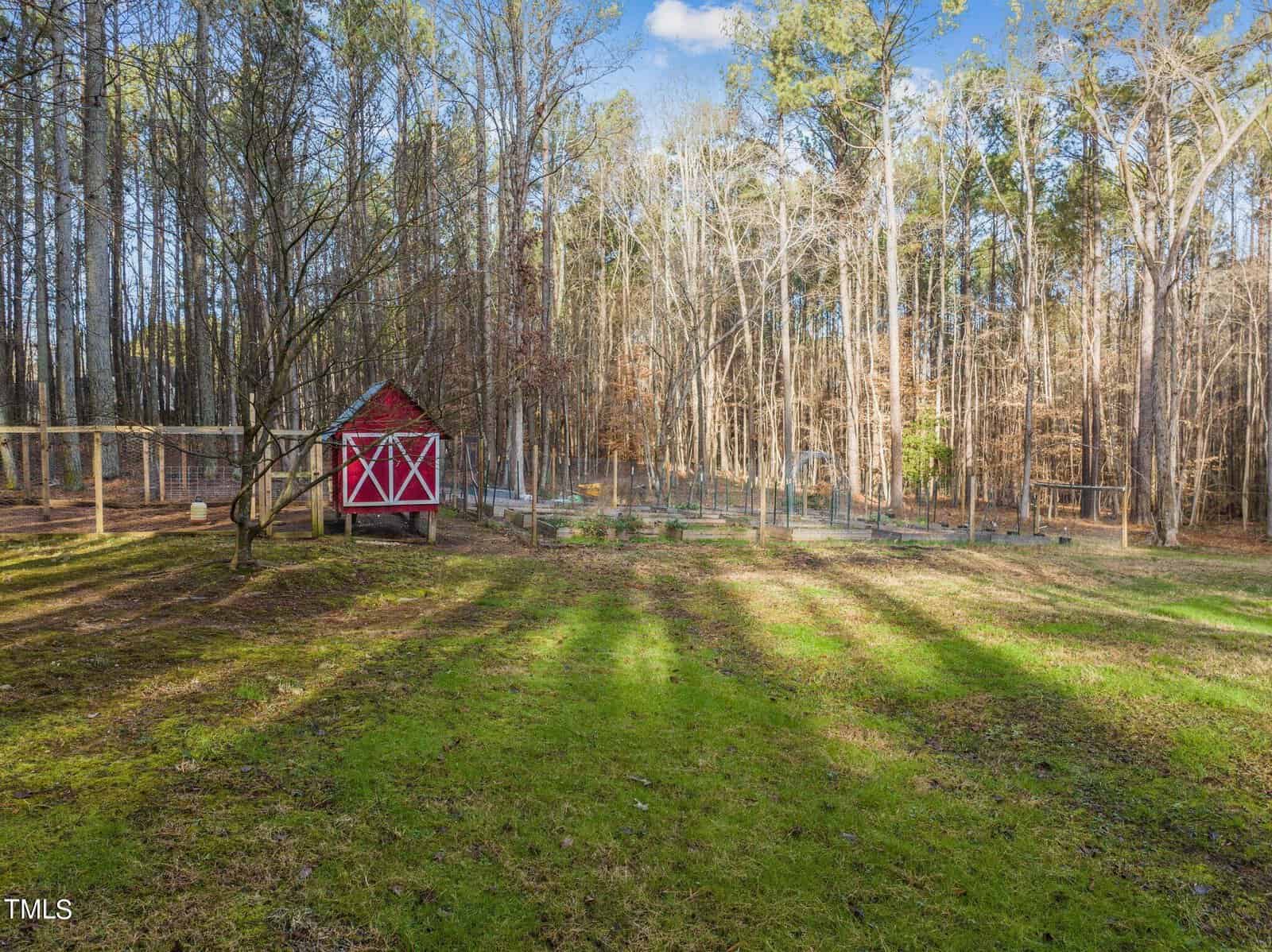 A green grassy yard with shadows from trees. To the left, a small red barn with a white X pattern. Surrounding the yard are tall, leafless trees, and a clear blue sky above.