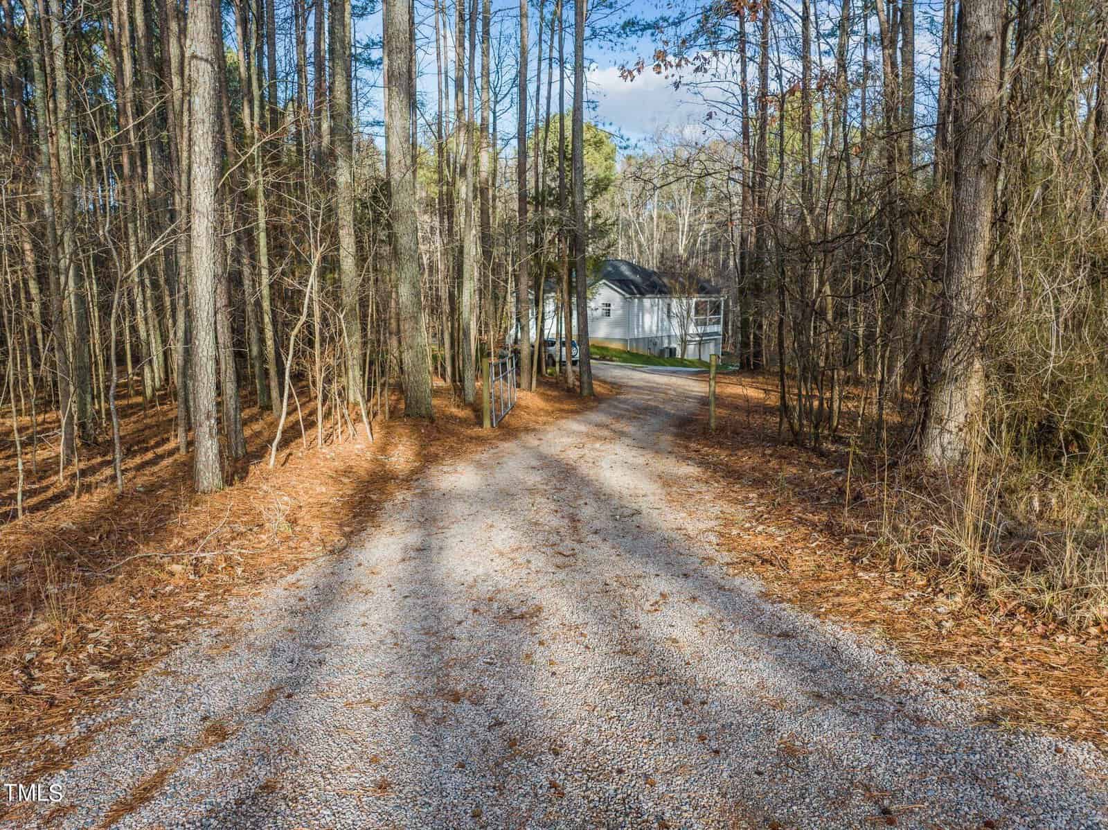 A gravel driveway winds through a forest of tall, bare trees with fallen leaves on the ground, leading to a white house in the background under a clear blue sky.