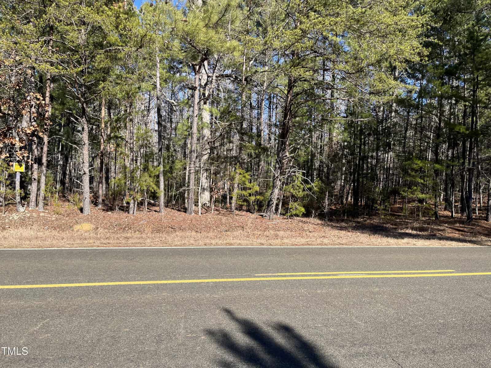 A rural road bordered by a forest with tall trees, under a clear blue sky. The trees have a mix of evergreen and bare branches, with some fallen leaves on the forest floor. A yellow road sign is visible on the left side.