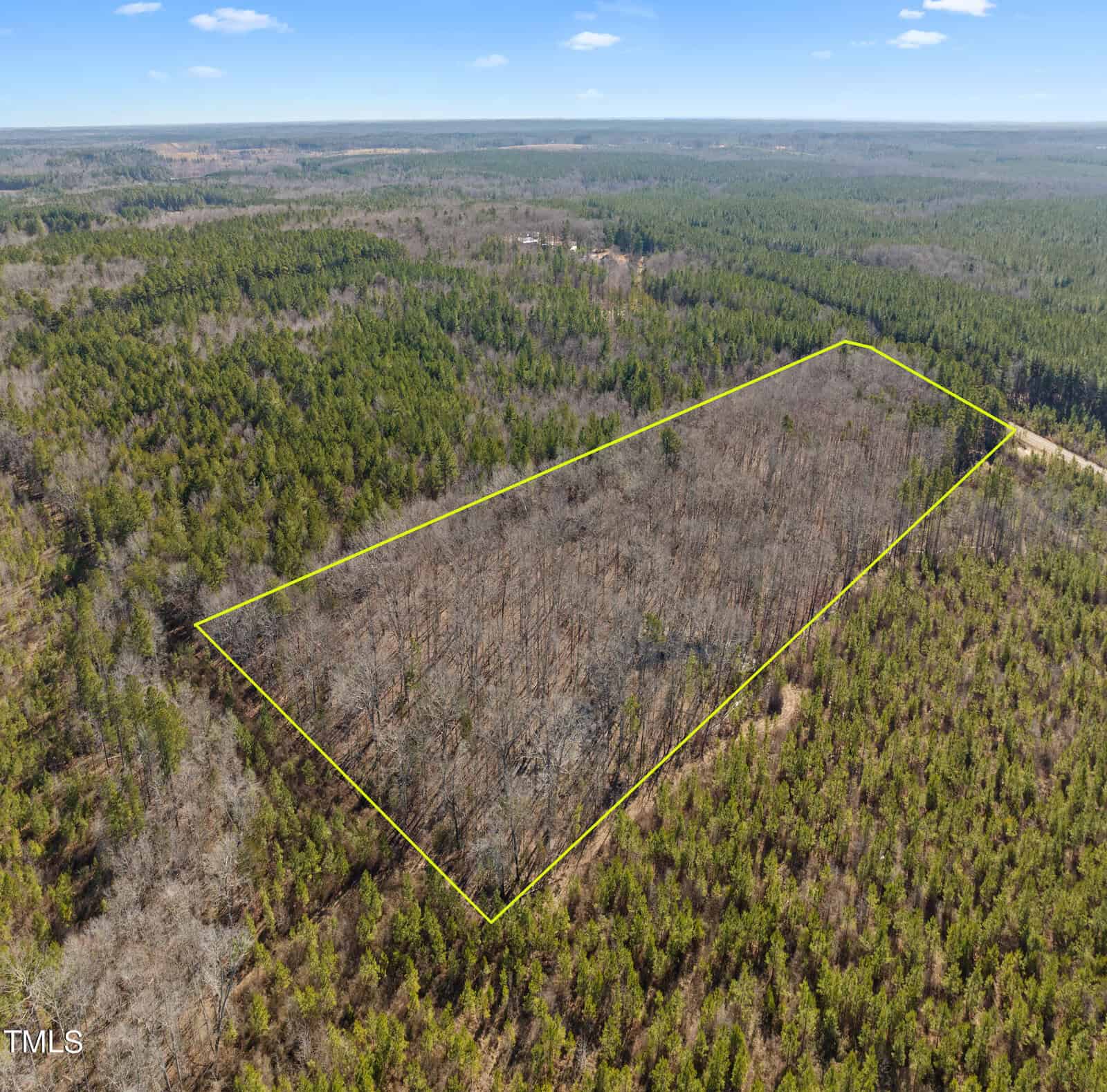 Aerial view of a rectangular forested area, outlined in yellow near 1557 Satterwhite Road, Oxford. Surrounded by dense green trees, the outlined section has fewer trees, creating a stark contrast in vegetation density. The sky remains clear with just a few clouds floating by.
