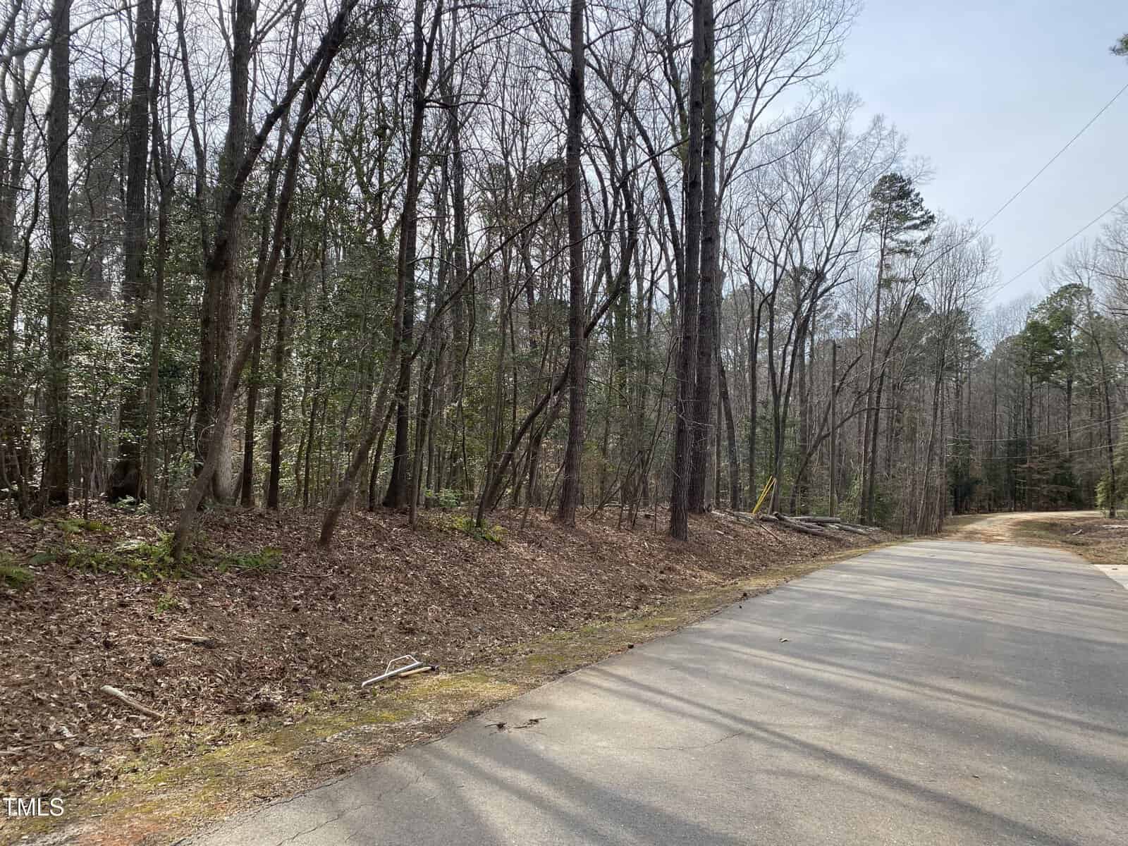 A paved road runs alongside a wooded area with tall, leafless trees and some green undergrowth. The sky is clear, and there are power lines visible along the right side of the road.