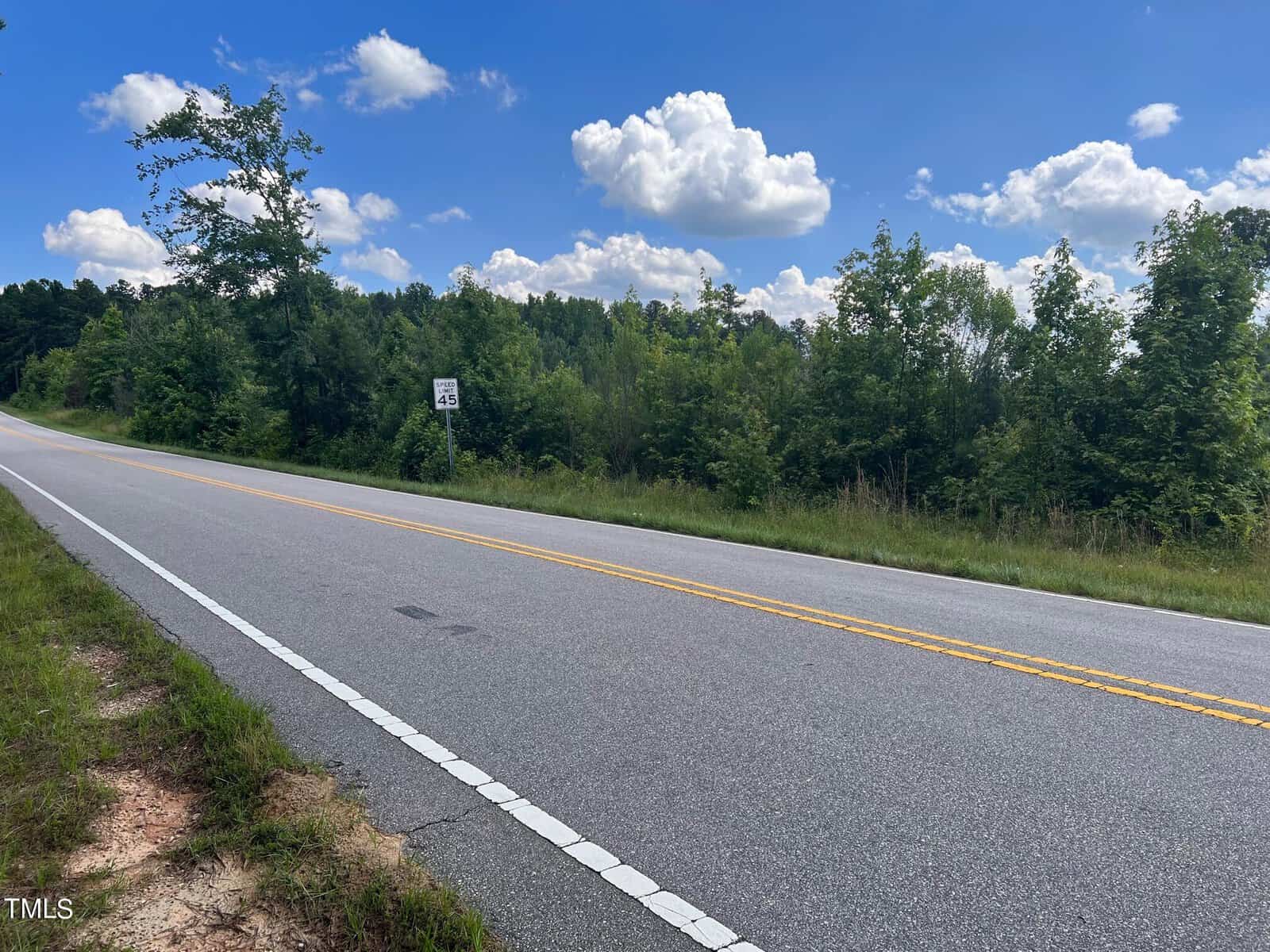 Asphalt road curving to the left with a speed limit sign marked 45 mph, bordered by lush green trees and under a blue sky with fluffy white clouds.
