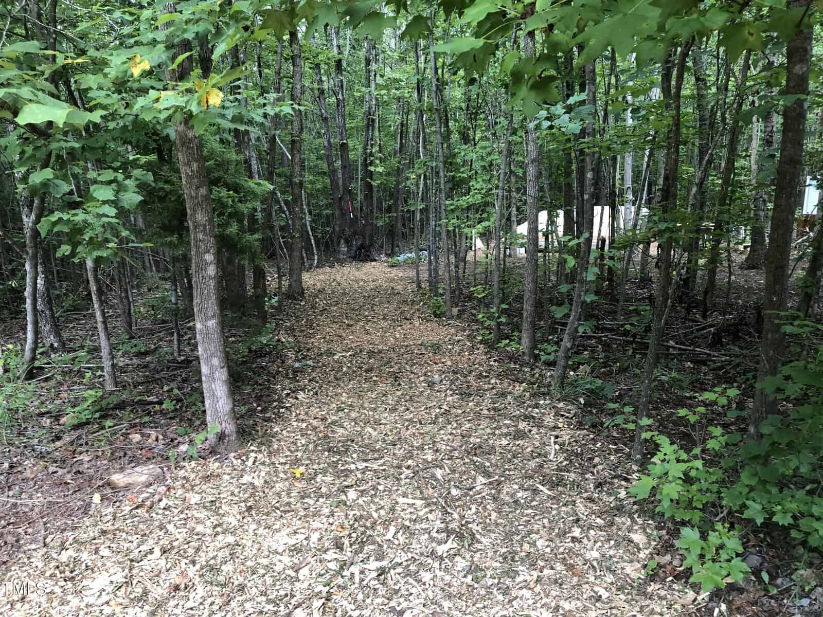 A wood chip path winds through a dense green forest with tall trees and scattered undergrowth, creating a natural walkway leading deeper into the woods.