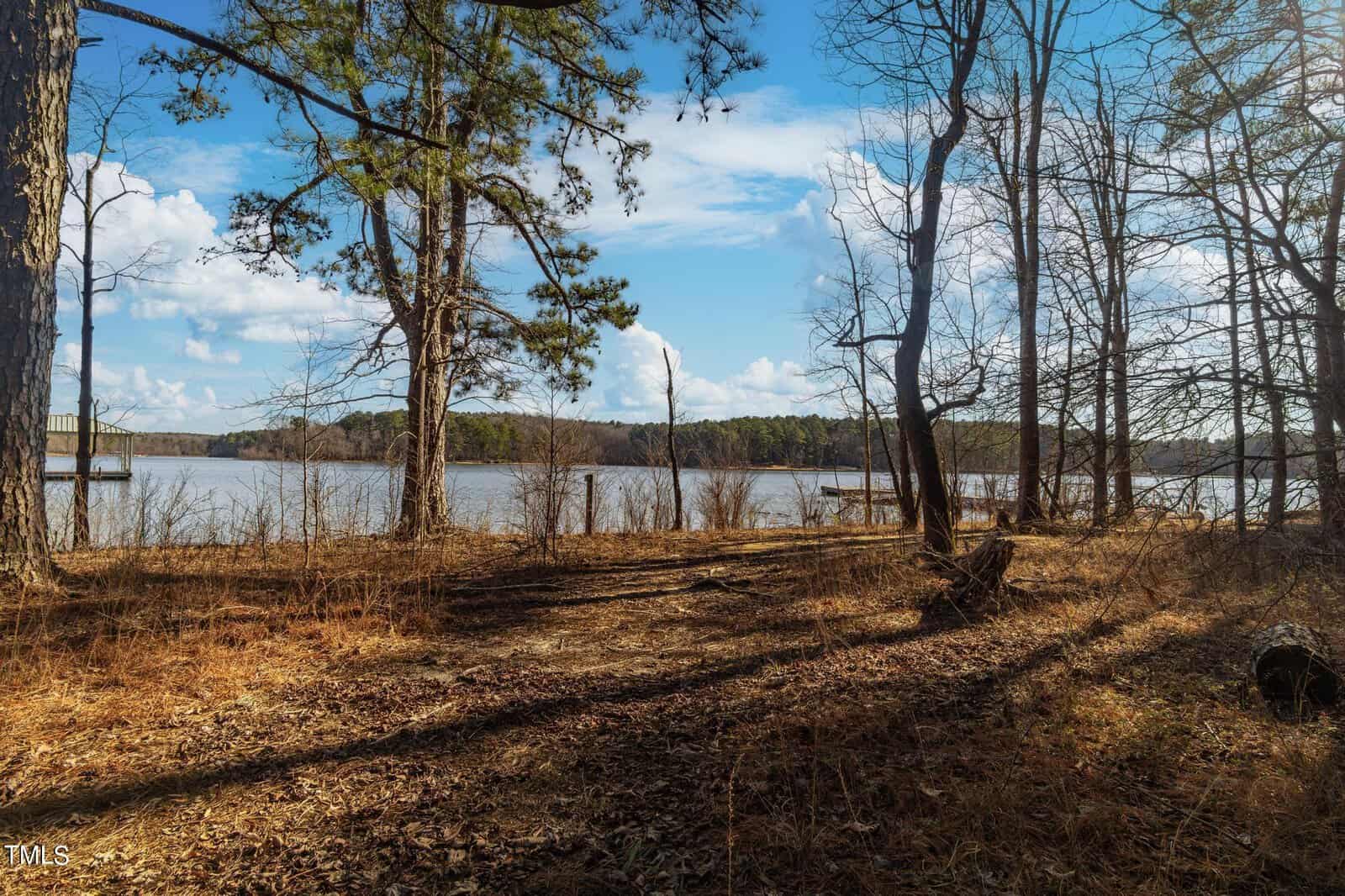 A serene lakeside scene featuring leafless trees casting shadows on a grassy shore. The lake reflects the blue sky with scattered clouds, surrounded by distant wooded hills. A wooden dock is partially visible amid the tranquil landscape.