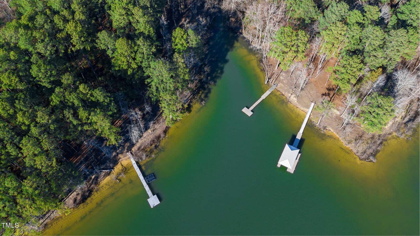Aerial view of a lush forest bordering a green-hued lake. The shoreline features two docks, one with a small covered structure and another extending into the water, surrounded by dense trees and clear skies above.