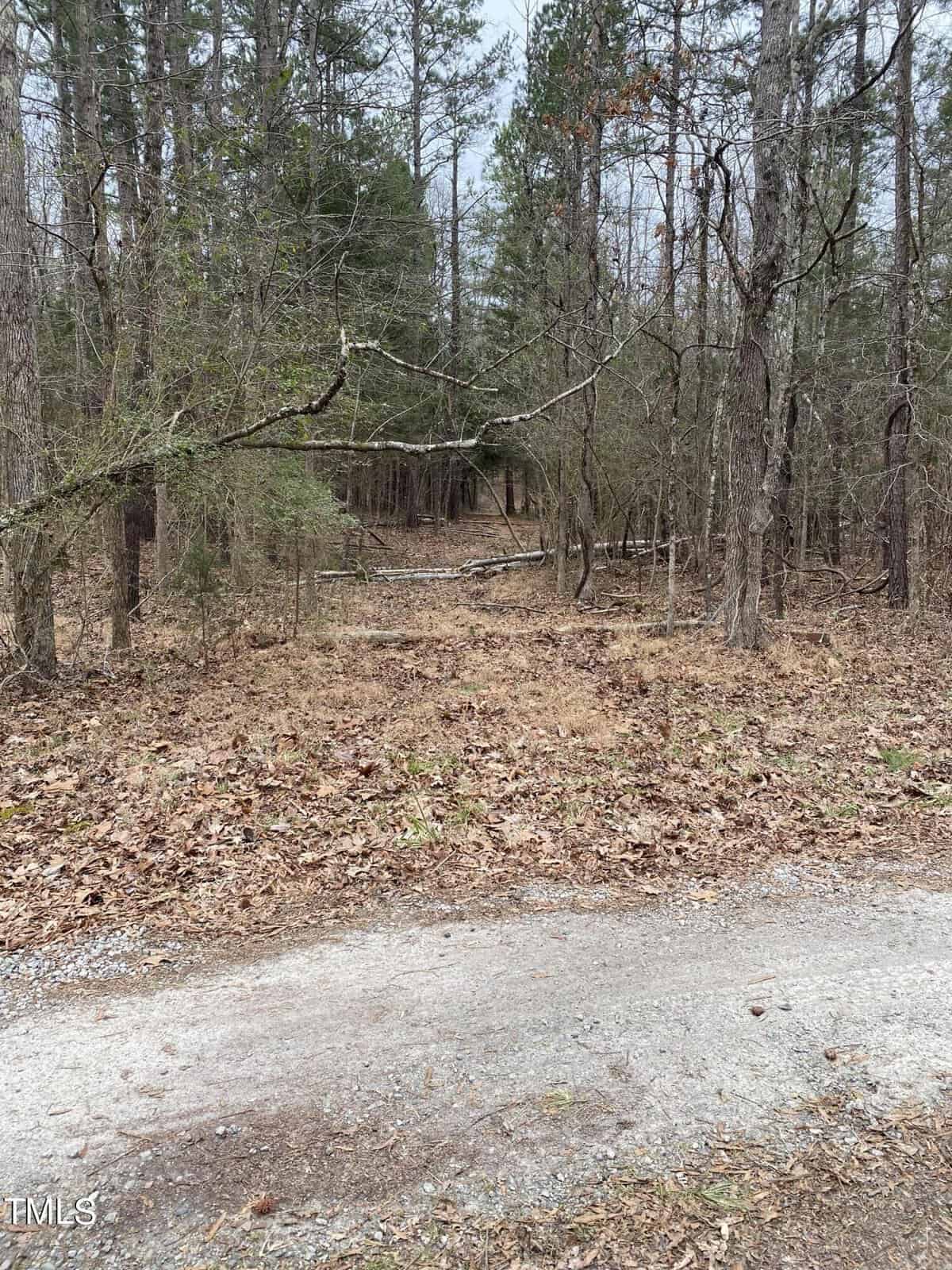 A narrow, unpaved path leads through a wooded area with bare and evergreen trees. The ground is covered in dry leaves and the sky is overcast. A broken branch hangs across the trail further into the woods.