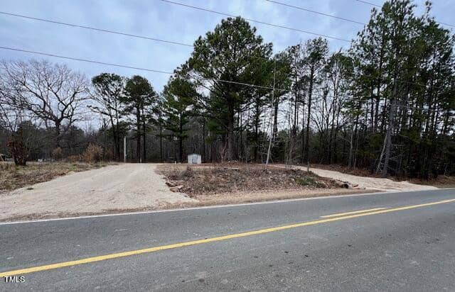 A paved road runs parallel to a forested area with tall trees. Two unpaved paths branch off into the trees, and power lines are visible above the scene. The sky is overcast.