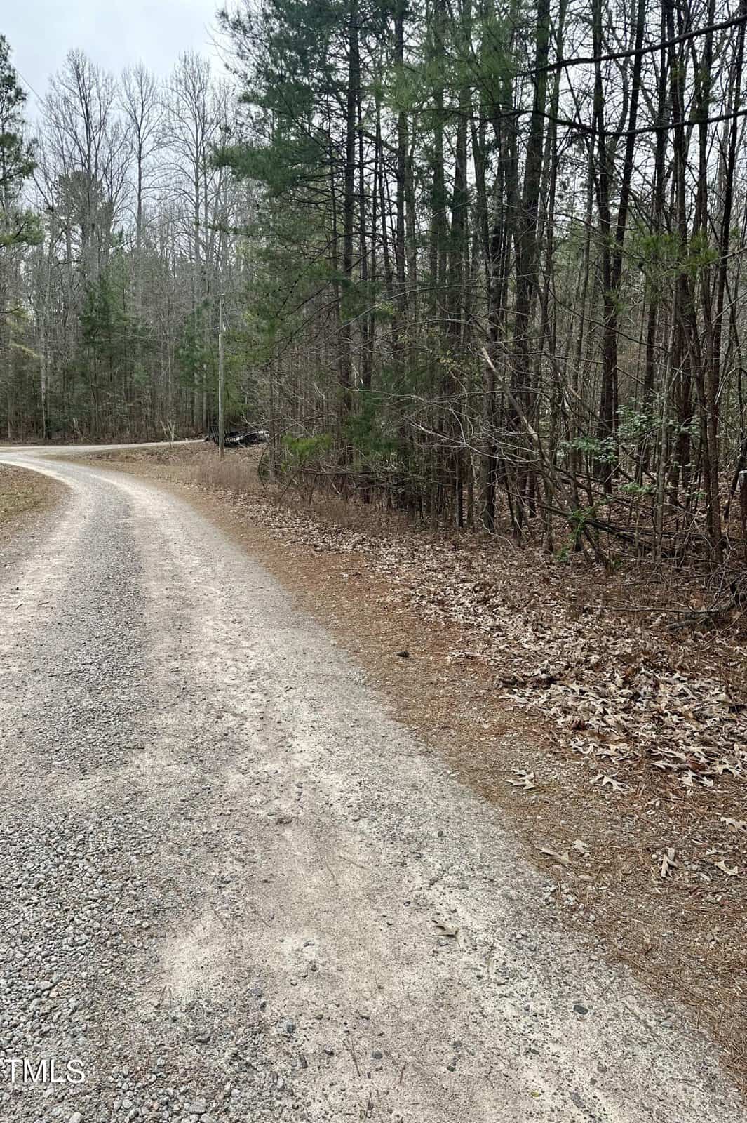 A gravel road curves through a wooded area with leafless trees and scattered underbrush in Lot 74 Puddle Stone Lane, Henderson NC. The environment appears dry and the sky partly cloudy.