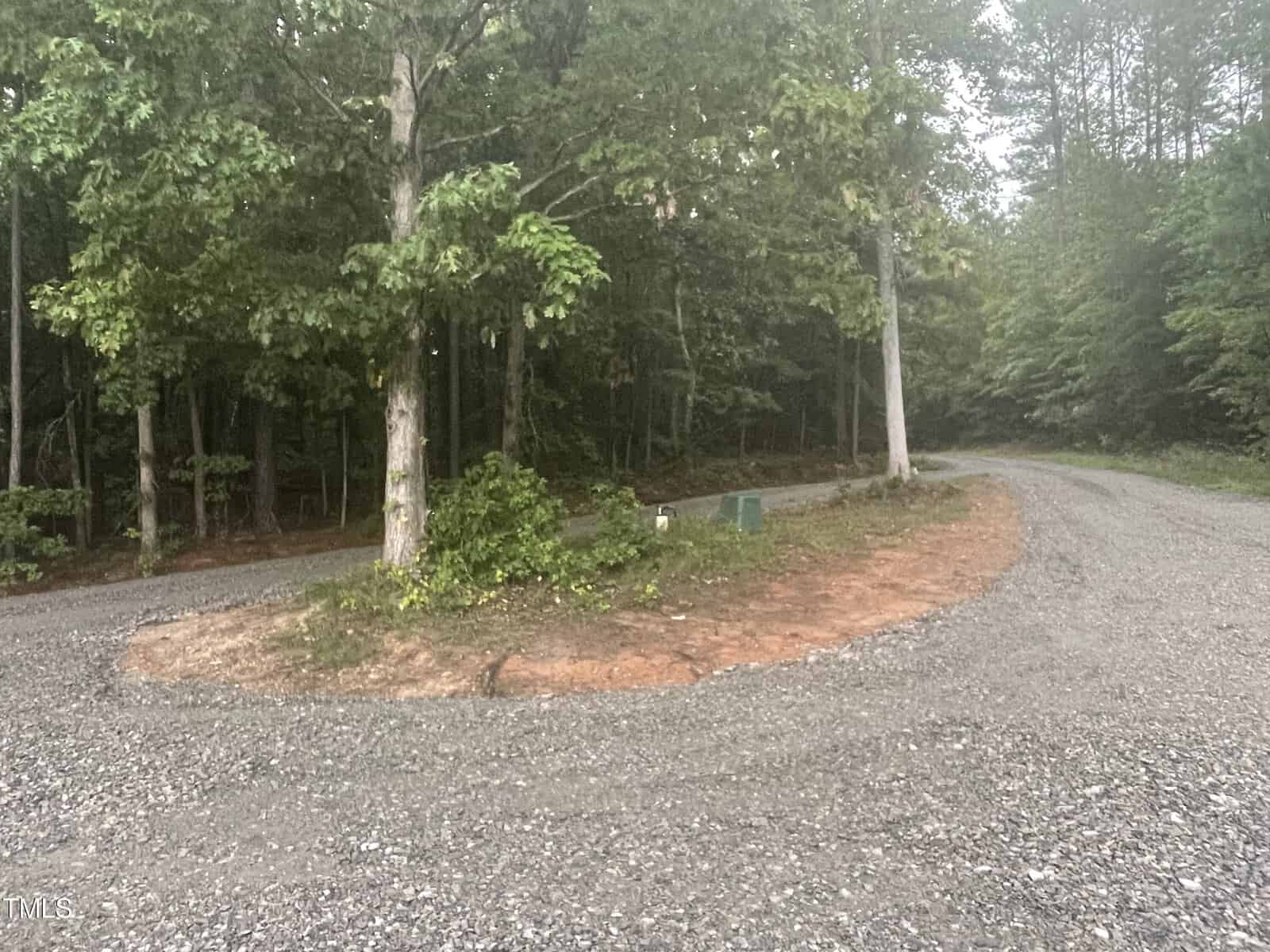A gravel road curves around a grassy area with tall trees. The dense forest in the background creates a serene and secluded atmosphere. The road and trees suggest a rural or countryside setting.