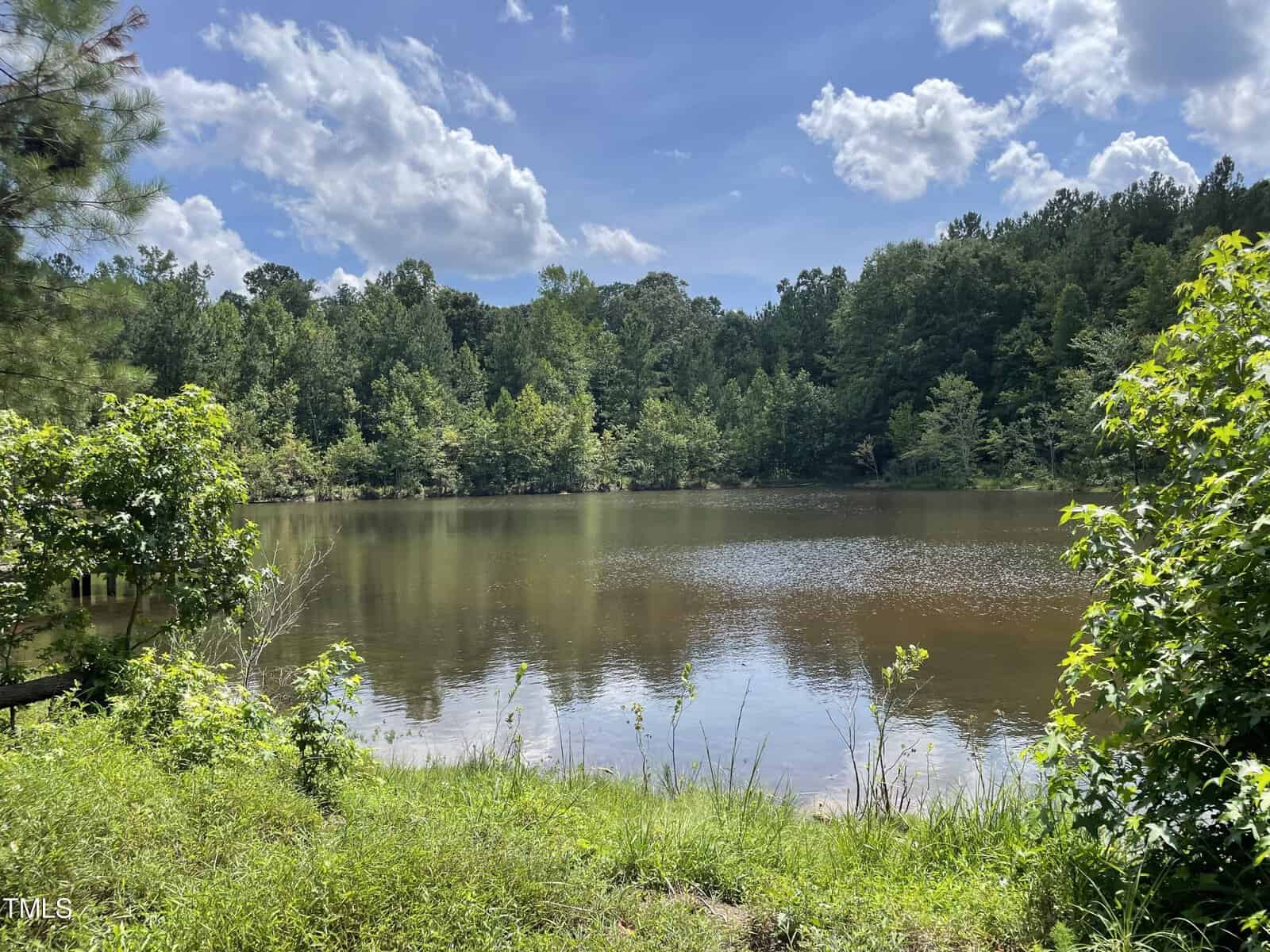 A serene lake surrounded by lush green trees under a bright blue sky with scattered clouds. The water reflects the greenery and sky, creating a tranquil and picturesque scene. Grass and shrubs frame the foreground.