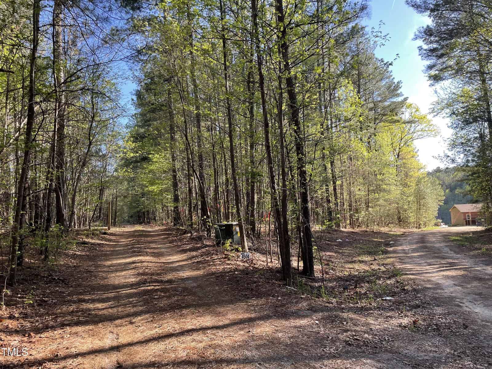 A forest with two dirt paths diverging among tall trees. The sun filters through green foliage, casting dappled shadows on the ground. In the distance, a wooden cabin is visible on the right path.