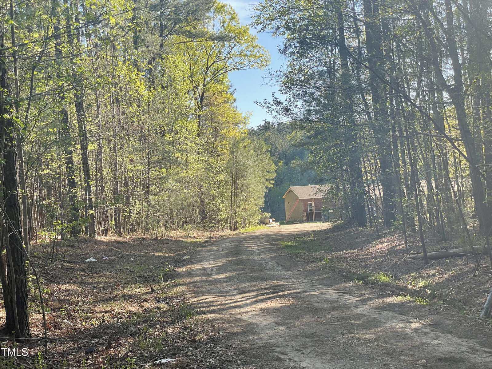 A dirt road leads through a lush, green forest with tall trees under a clear blue sky. In the background, a wooden cabin is partially visible, nestled among the trees. Sunlight filters through the foliage, creating a serene atmosphere.